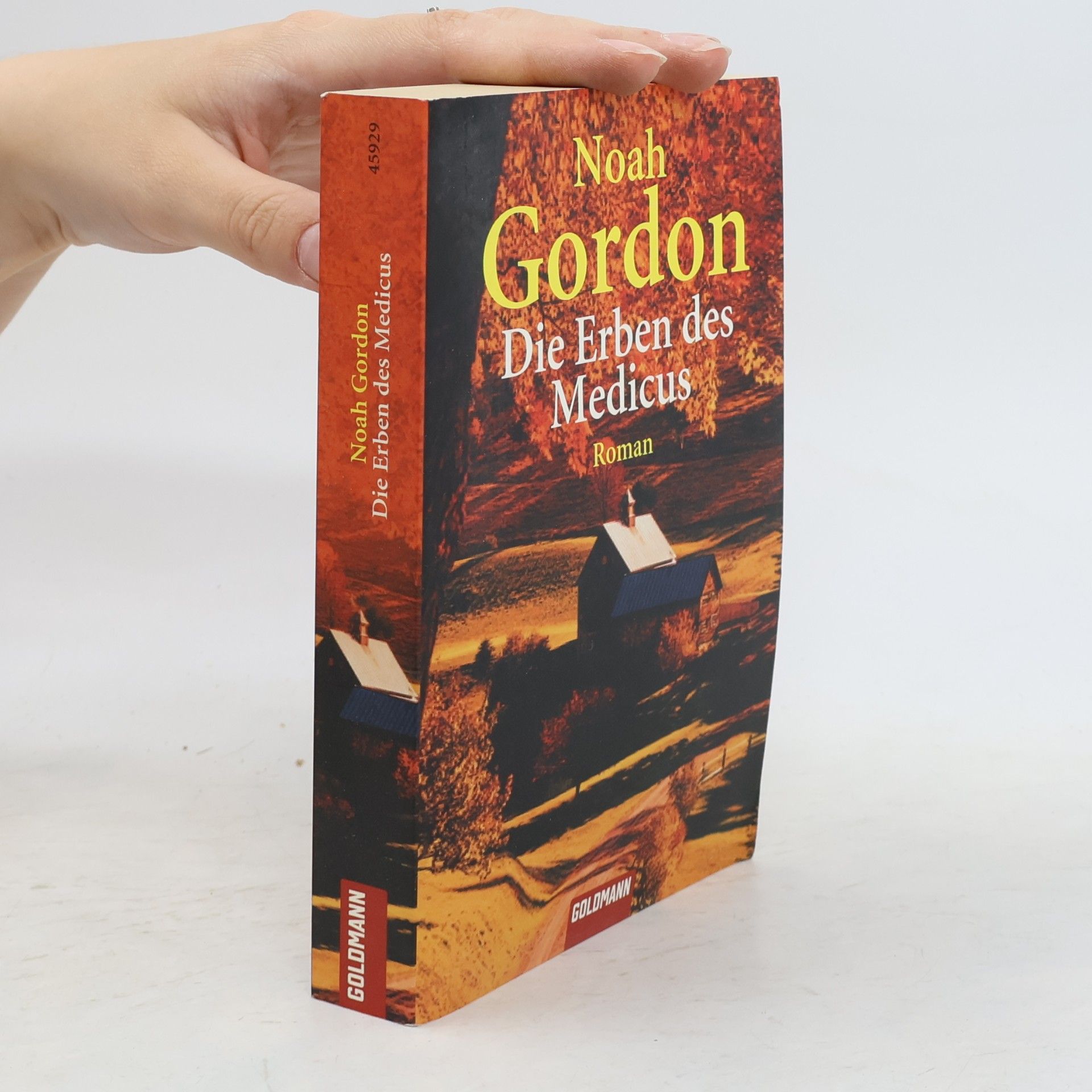 Noah Gordon Die Erben des Medicus