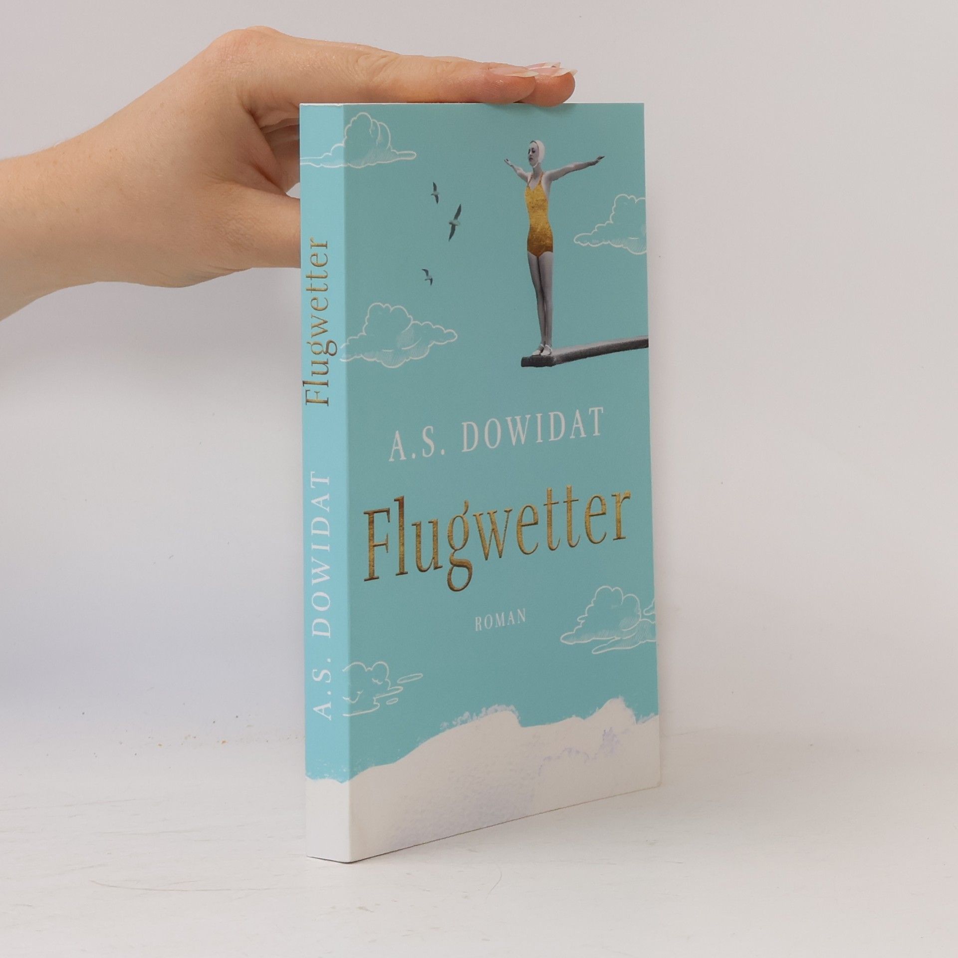 A. S. Dowidat Flugwetter
