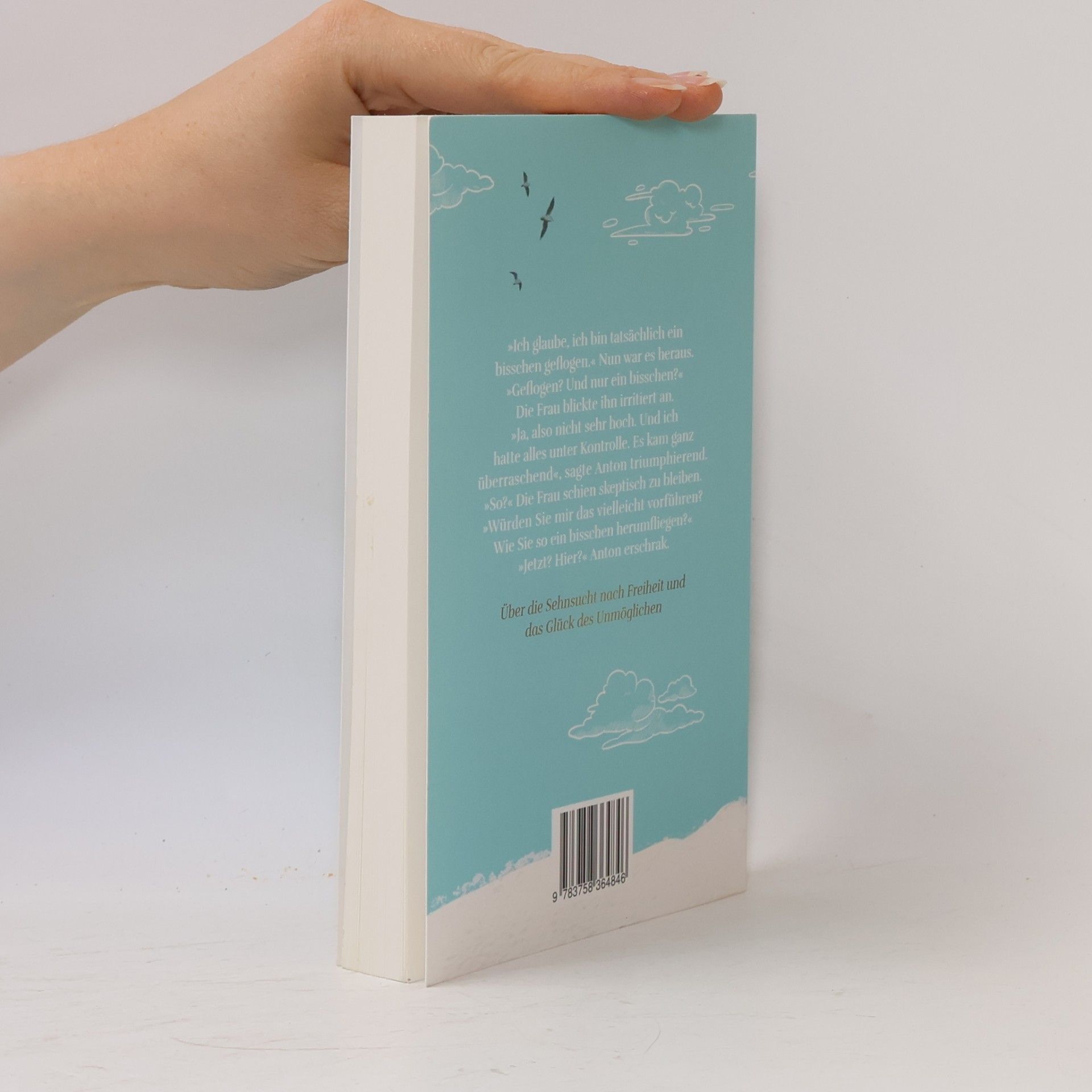 A. S. Dowidat Flugwetter