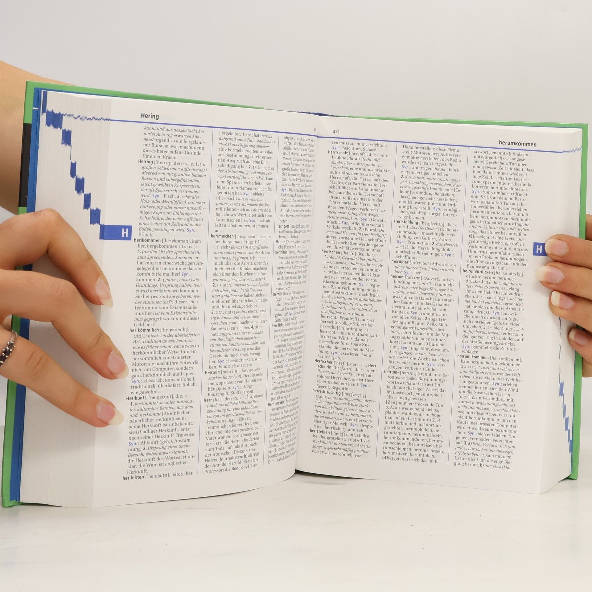 Kolektív autorov Duden. Band 10, Das Bedeutungswörterbuch