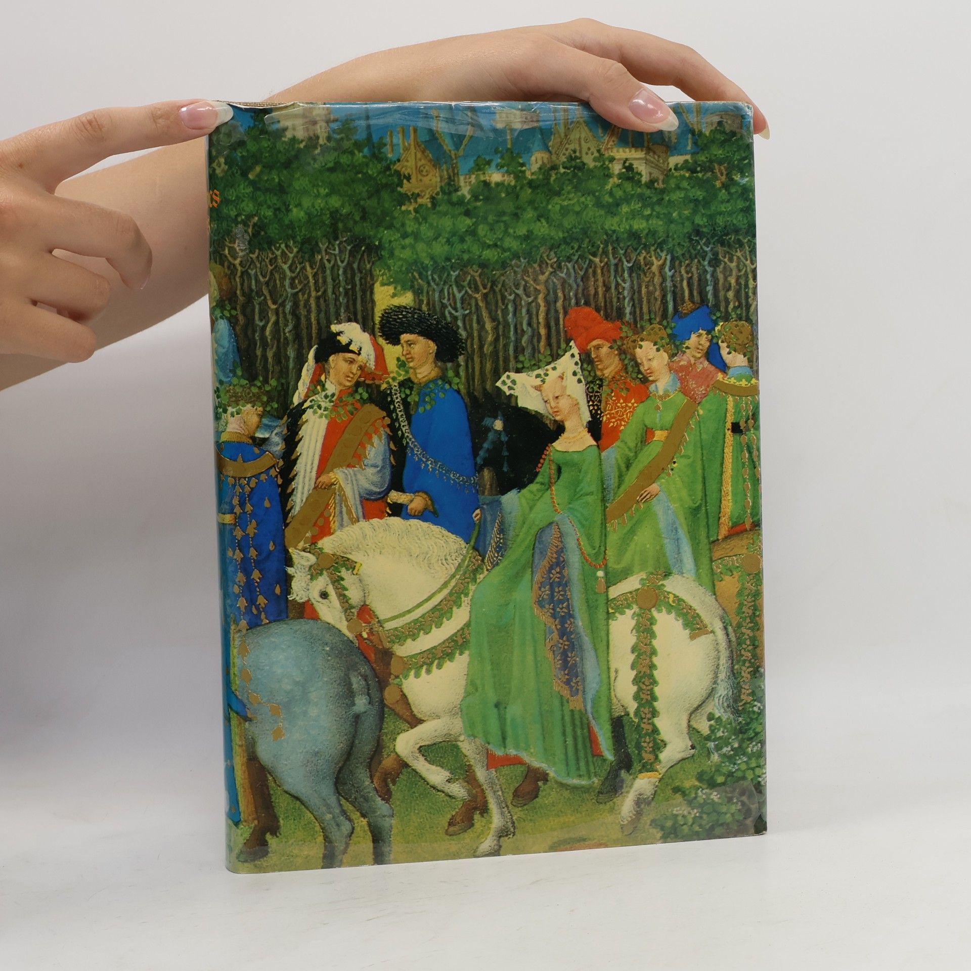 Millard Meiss Die Très Riches Heures