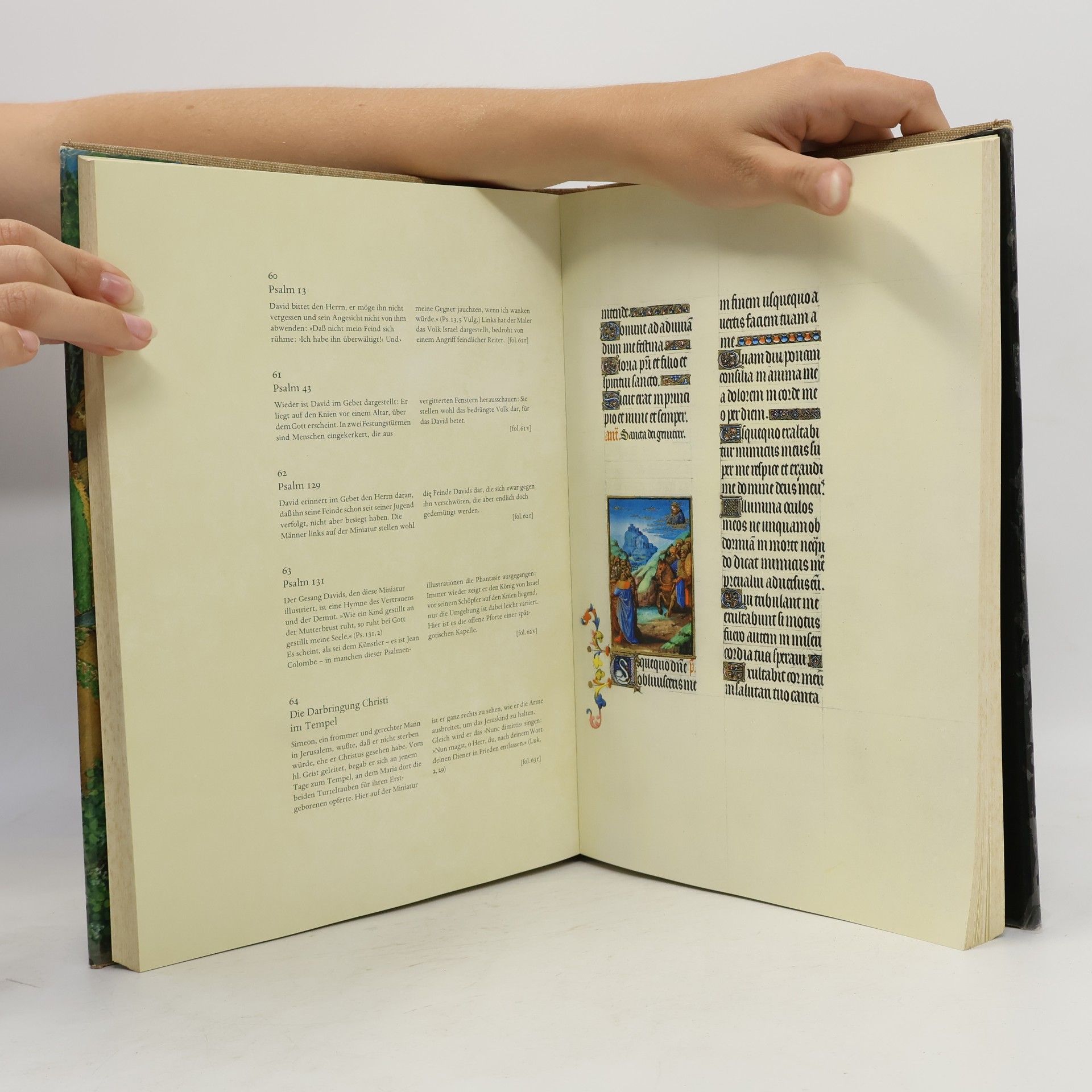 Millard Meiss Die Très Riches Heures