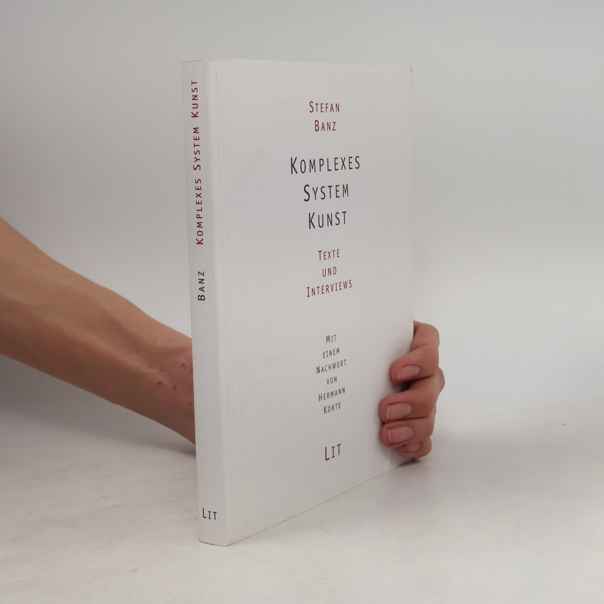 Stefan Banz Komplexes System Kunst