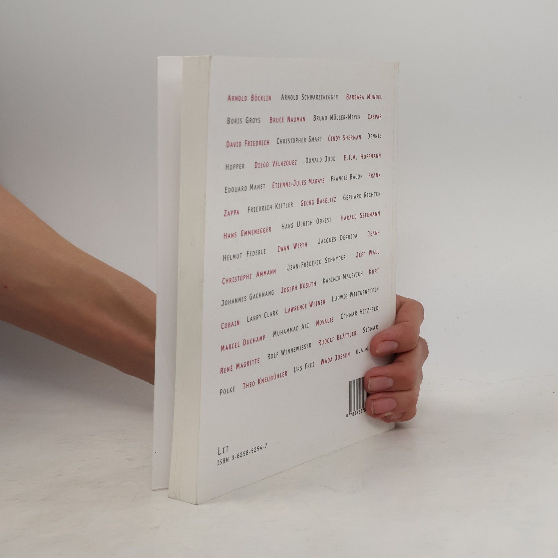 Stefan Banz Komplexes System Kunst