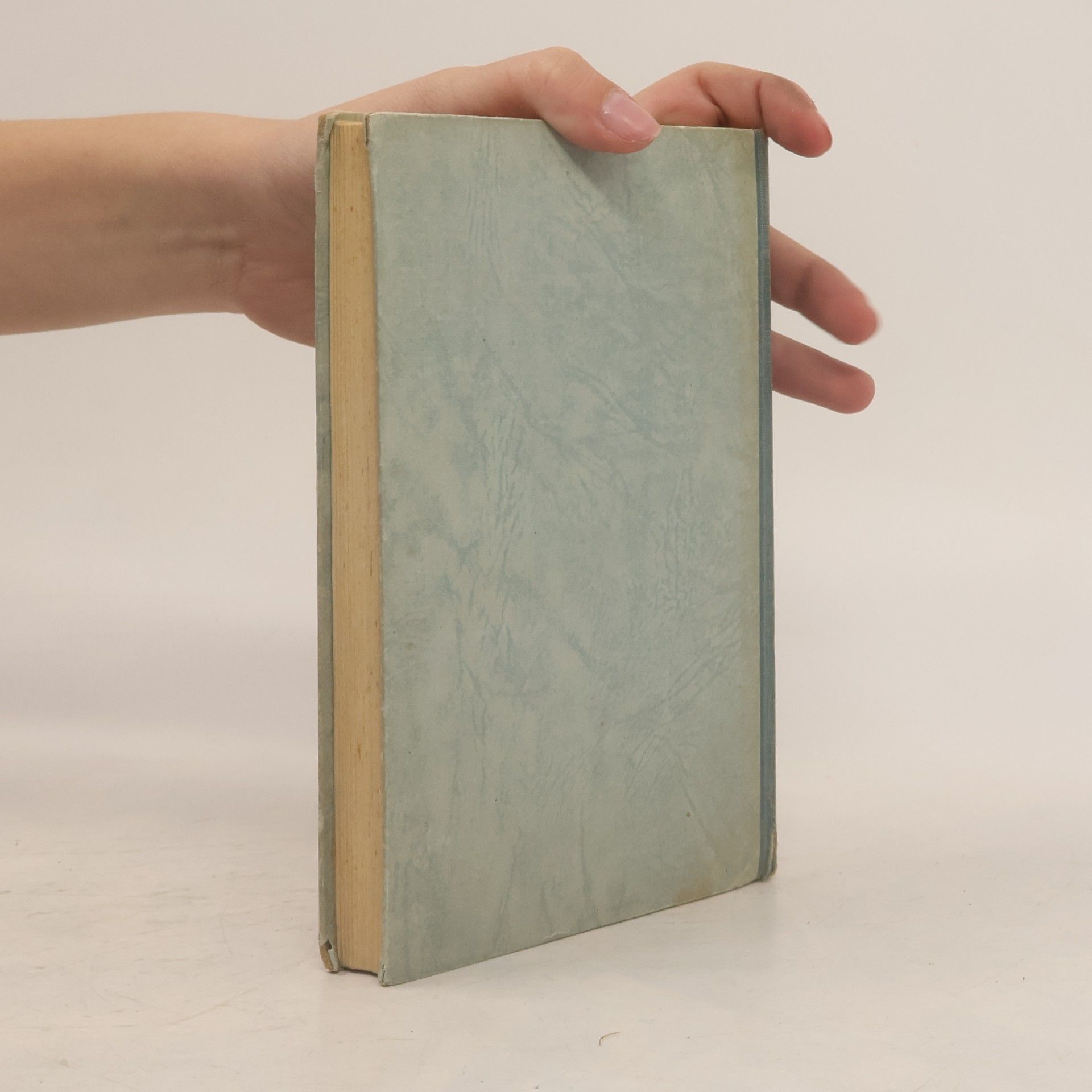 Hans Werder Christophorus