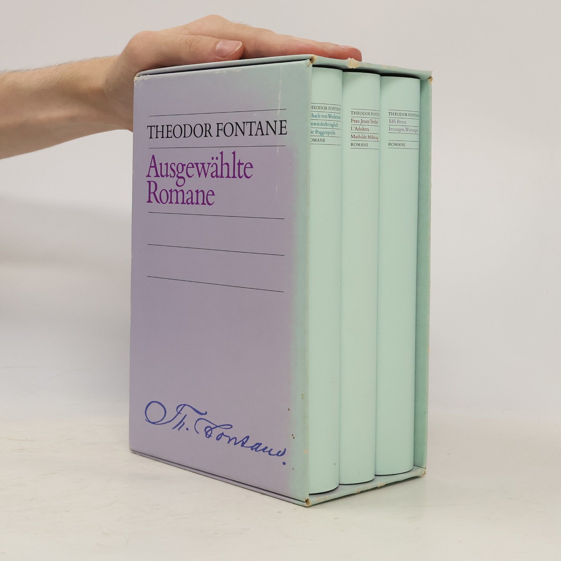Theodor Fontane Ausgewahlte Romane