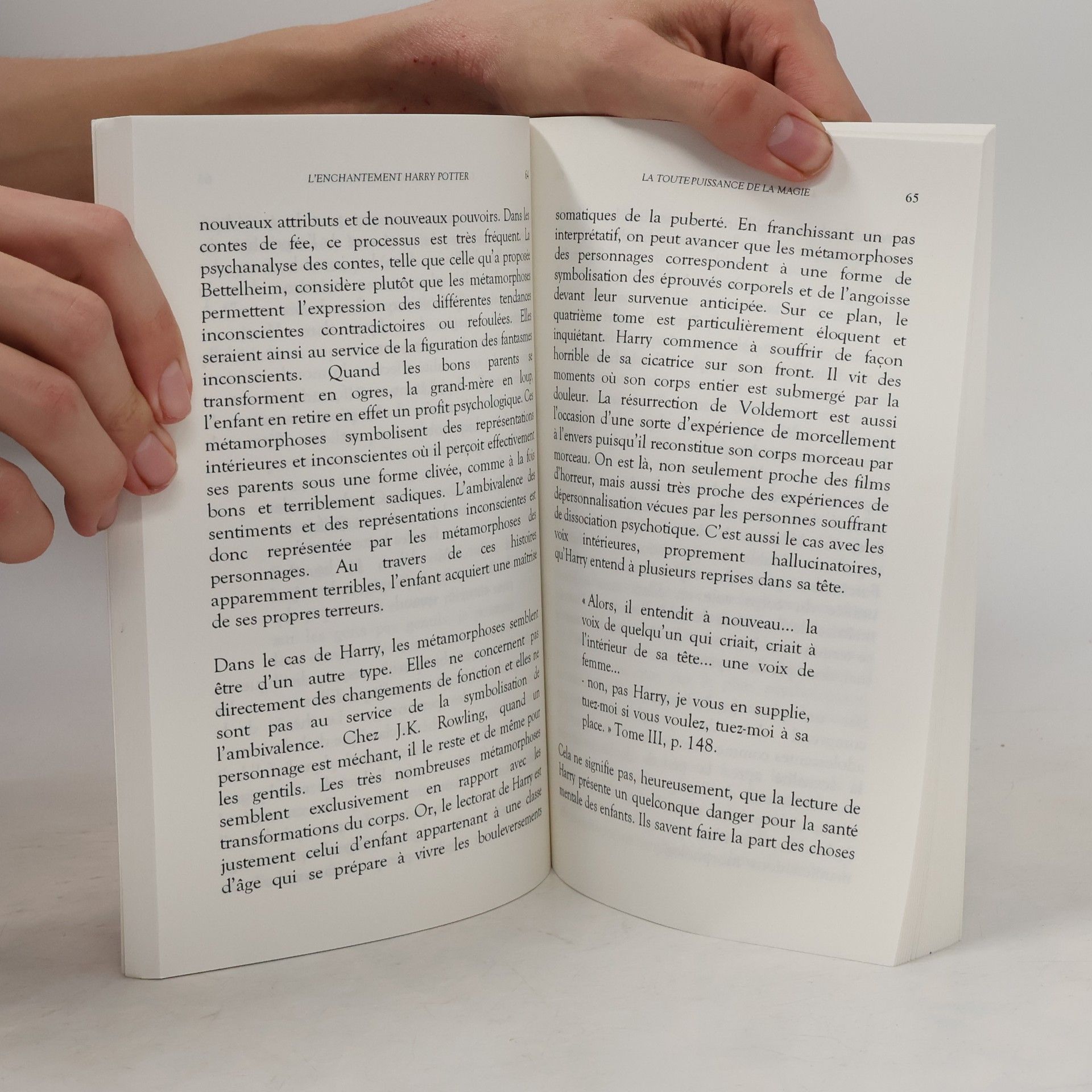 Virole, Benoît L'enchantement Harry Potter