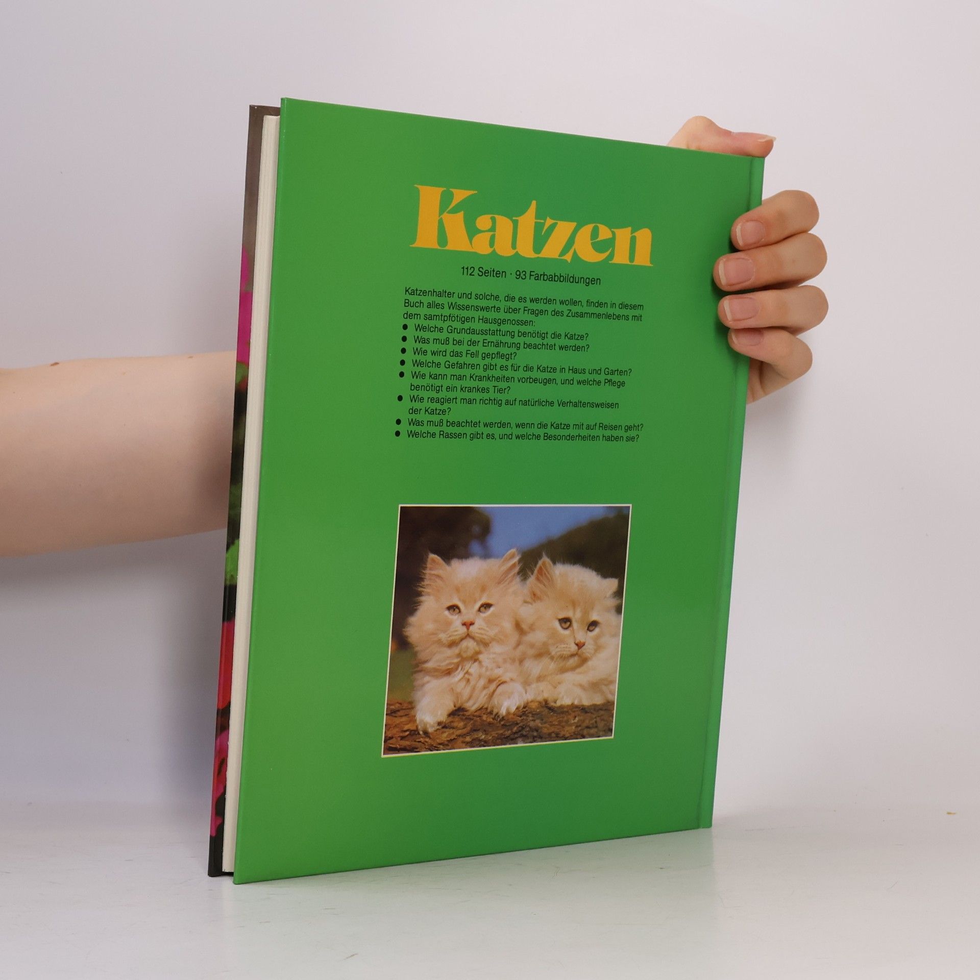 Collectif d'auteurs Katzen lieben und pflegen