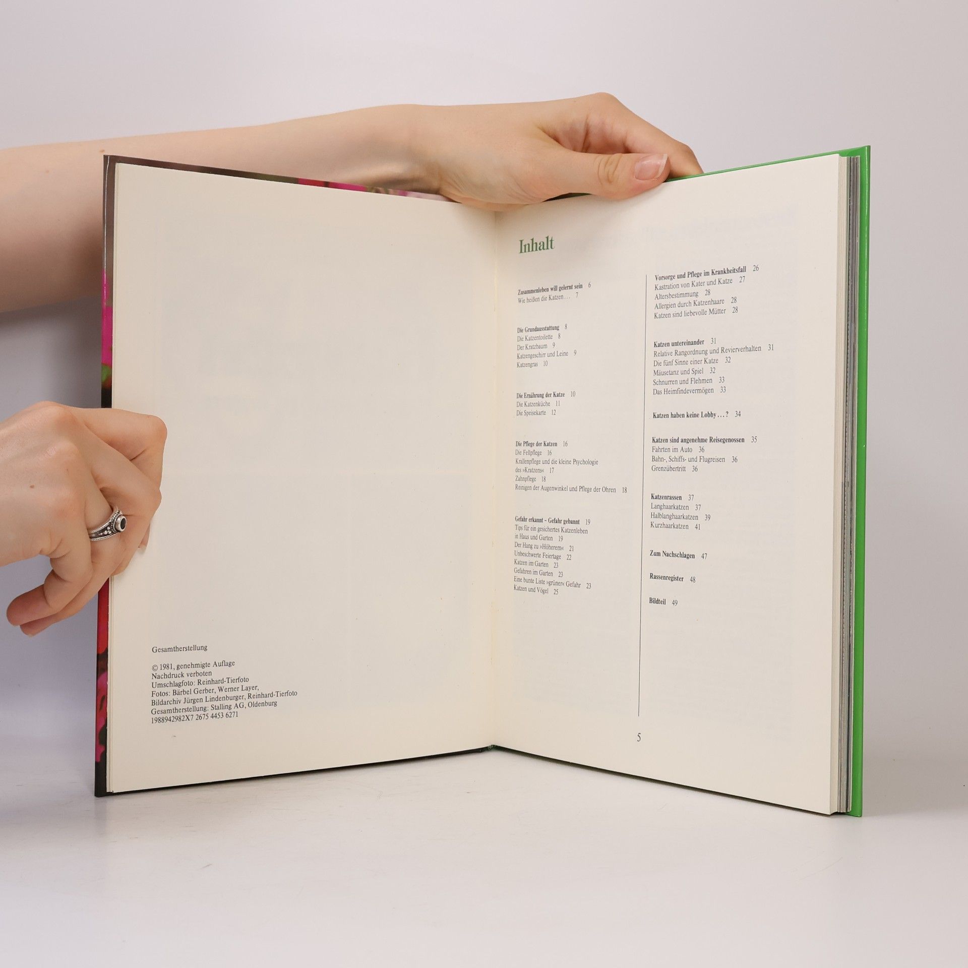 Collectif d'auteurs Katzen lieben und pflegen