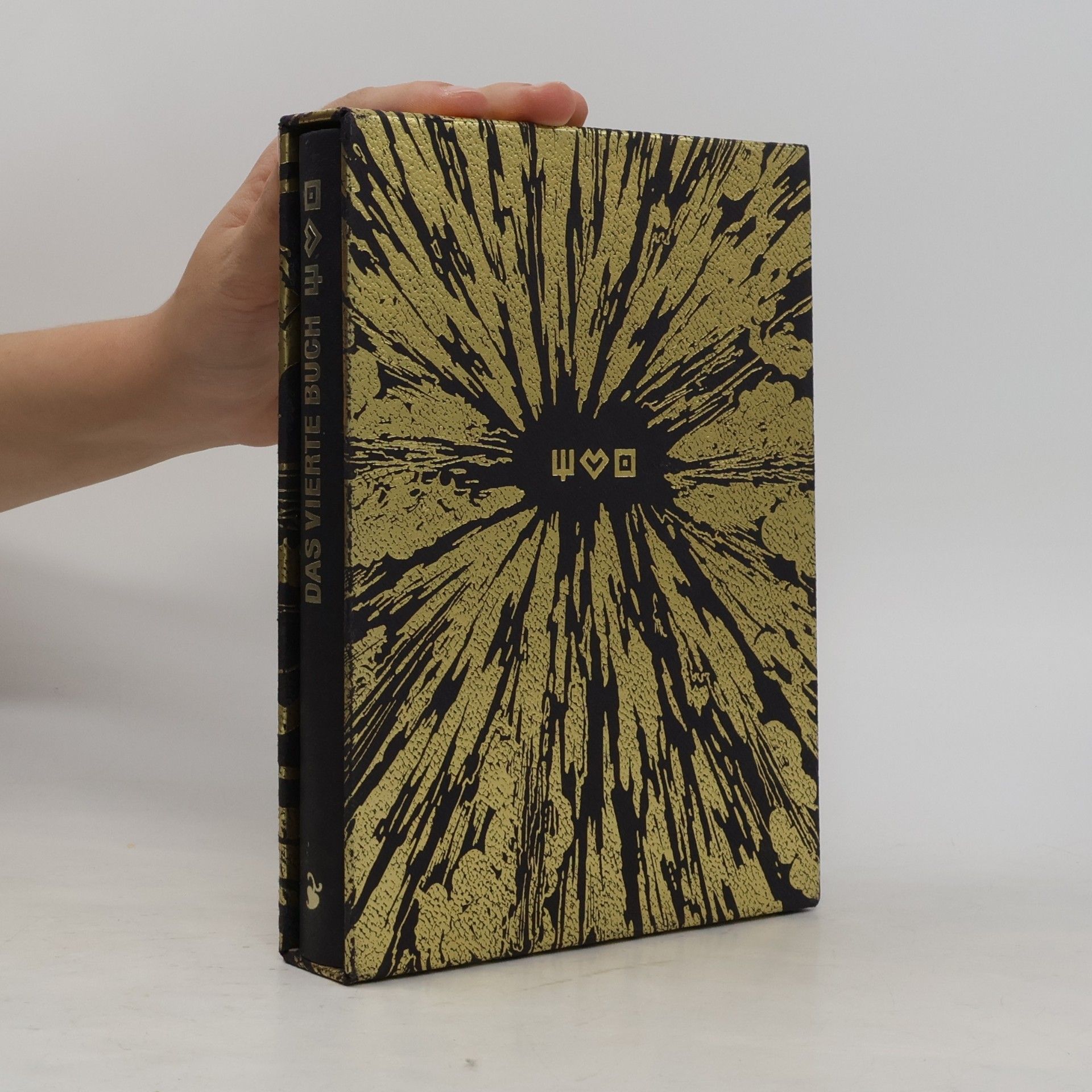 Georg Dejung Das vierte Buch