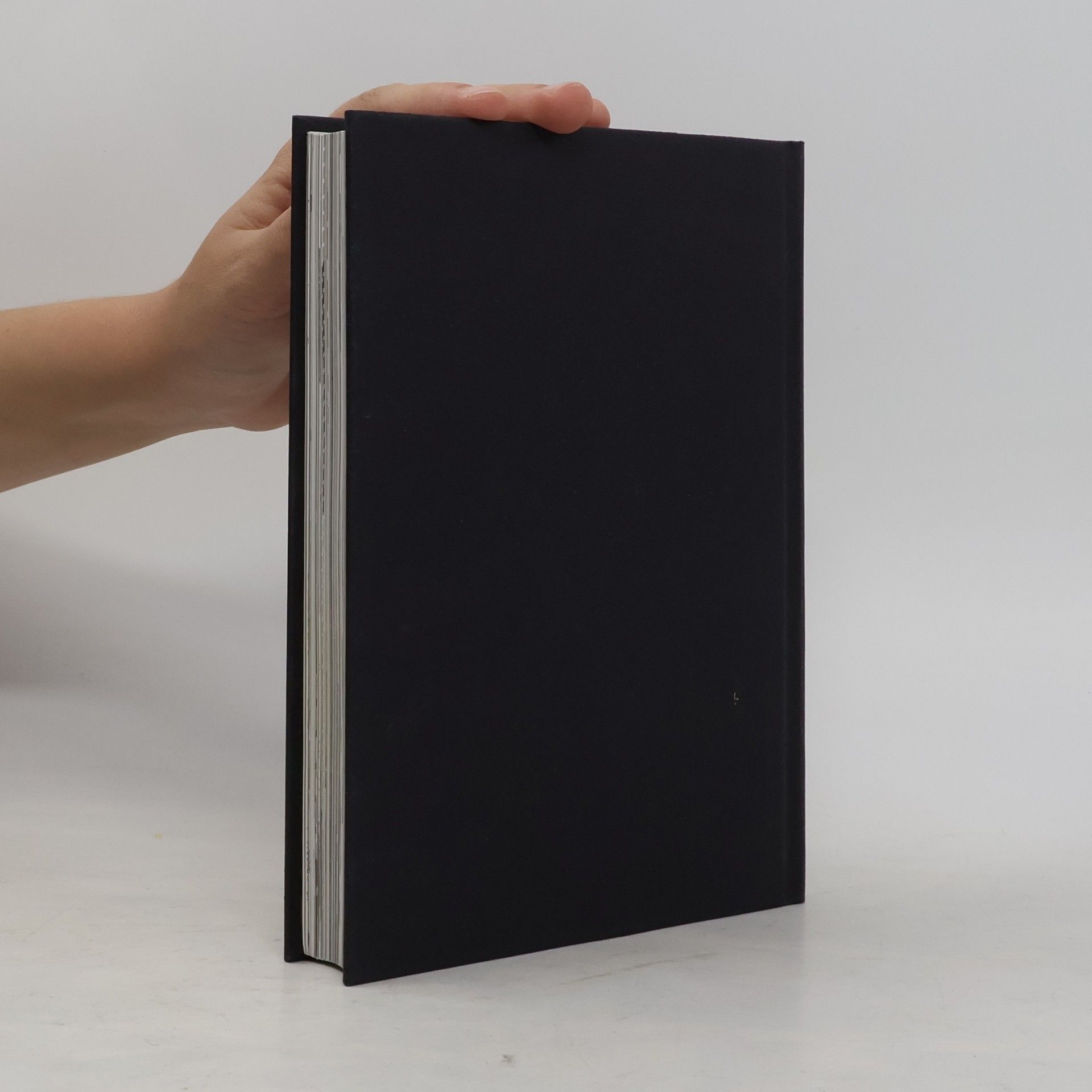 Georg Dejung Das vierte Buch