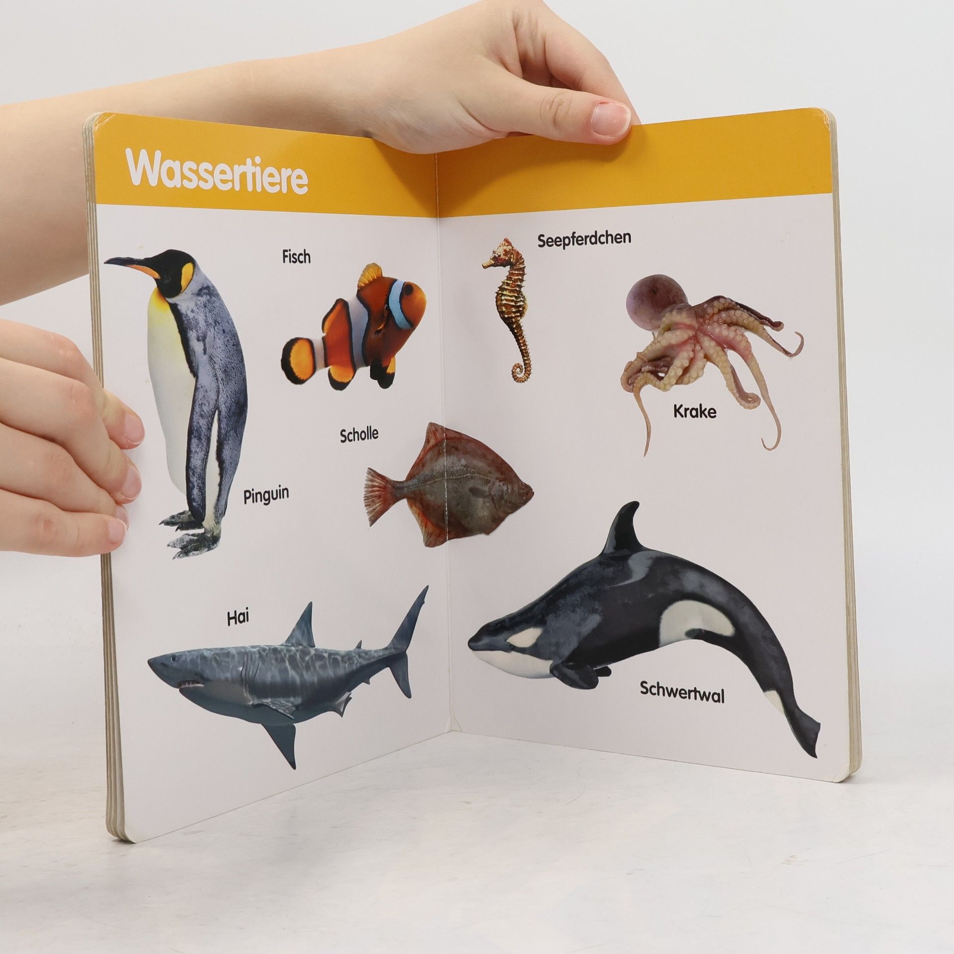 Autorenkollektiv Tiere