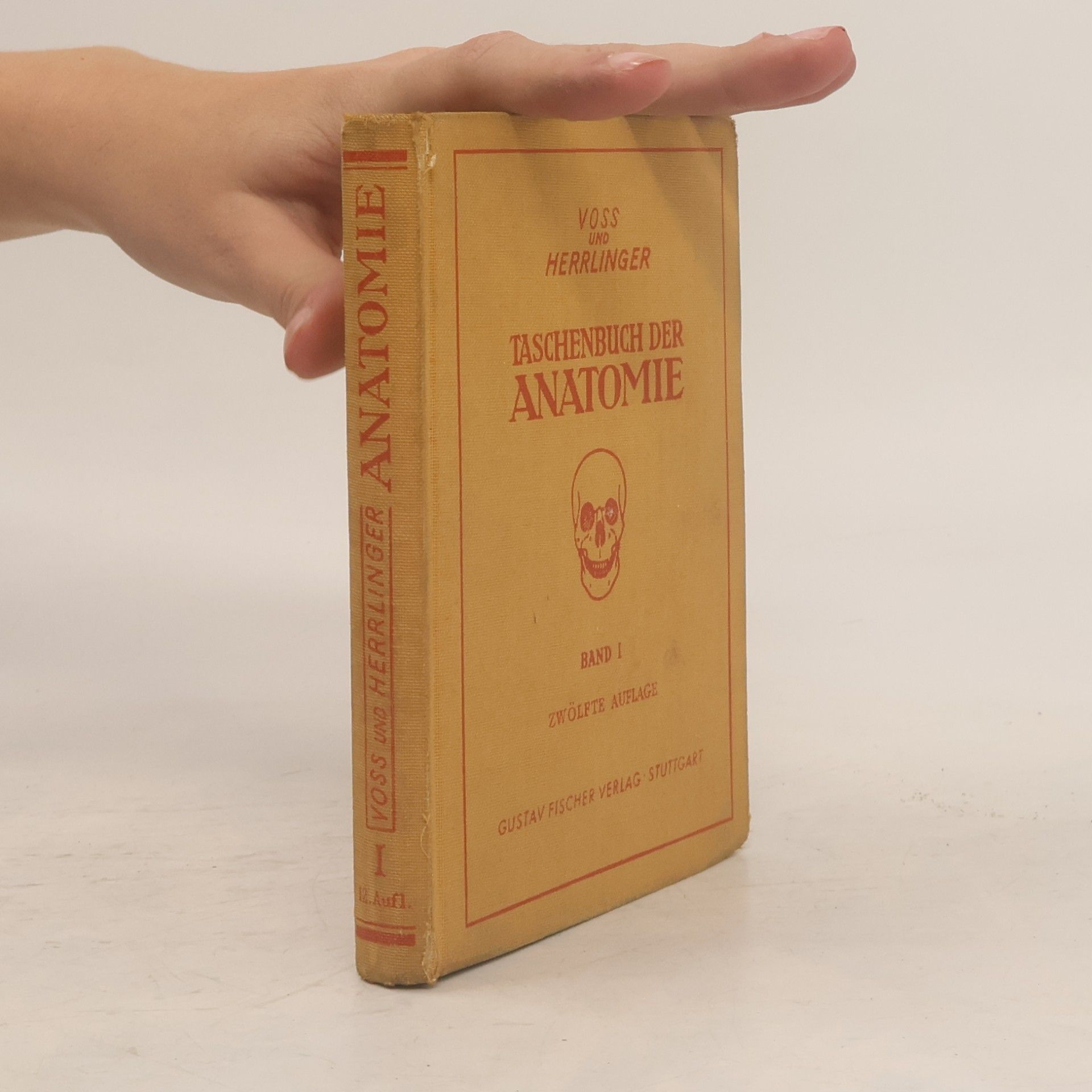 Taschenbuch der Anatomie. Band I