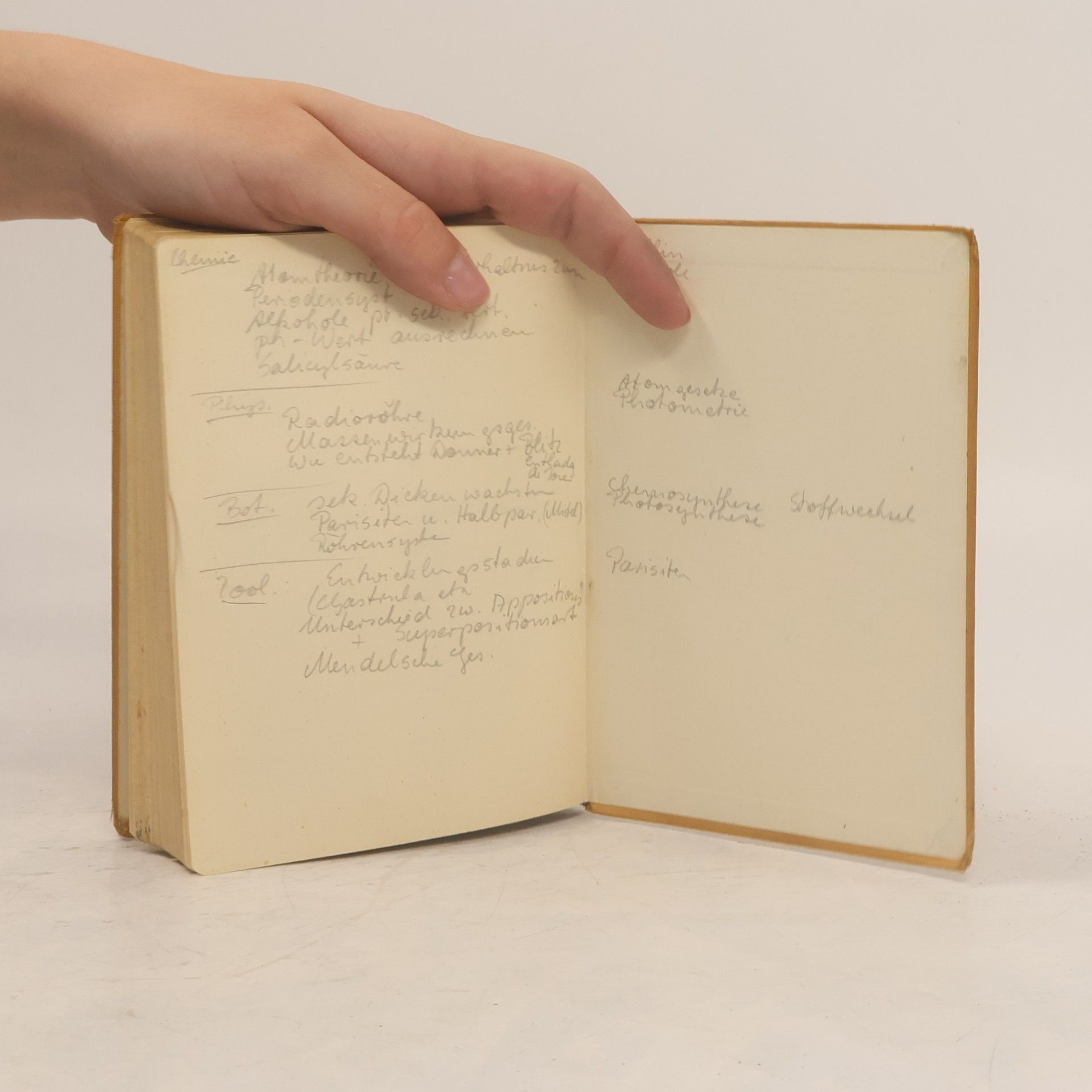 Hermann Voss Taschenbuch der Anatomie. Band I