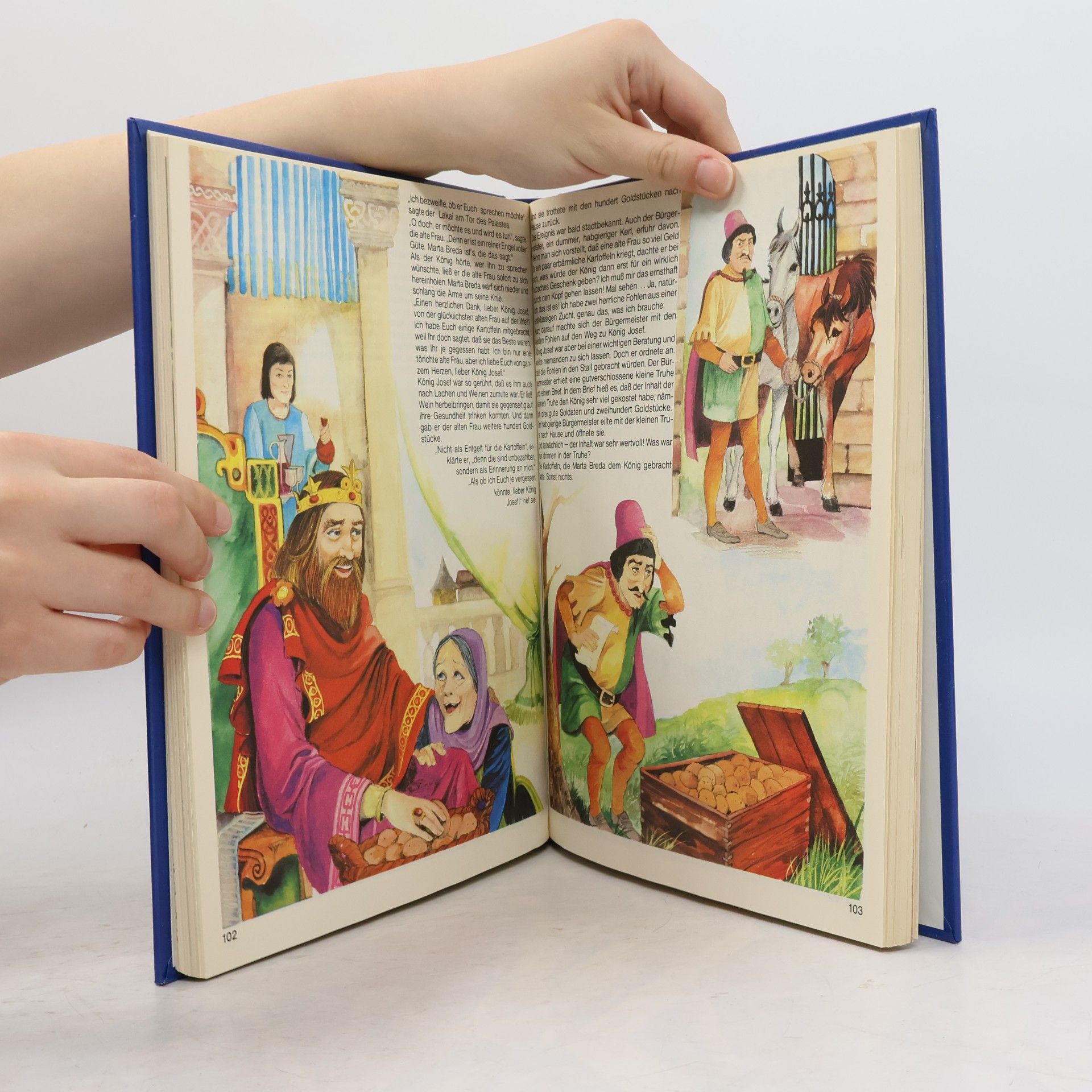 Autorenkollektiv Die schönsten Kindermärchen ...mit vielen farbigen Bildern