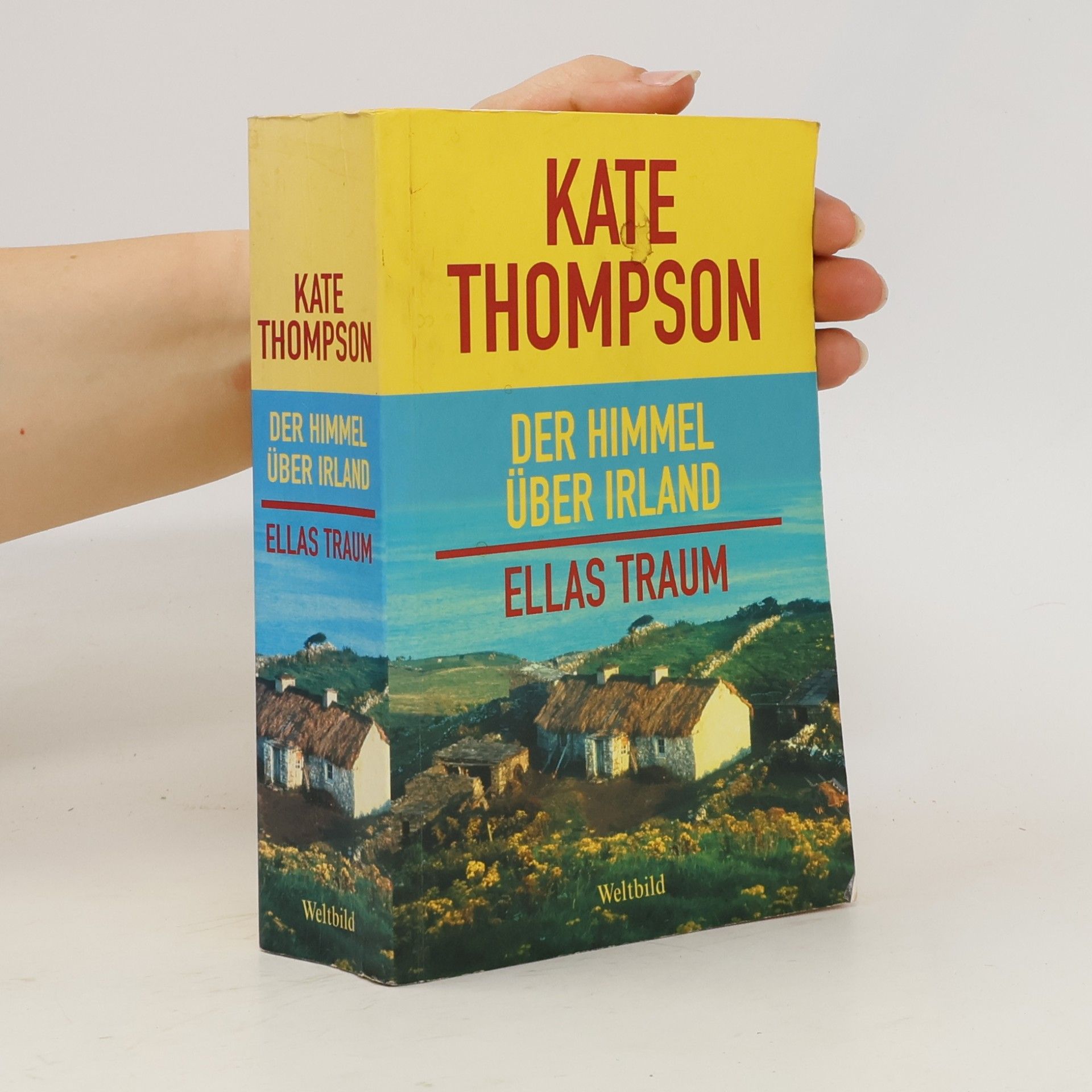 Kate Thompson Der Himmel über Irland
