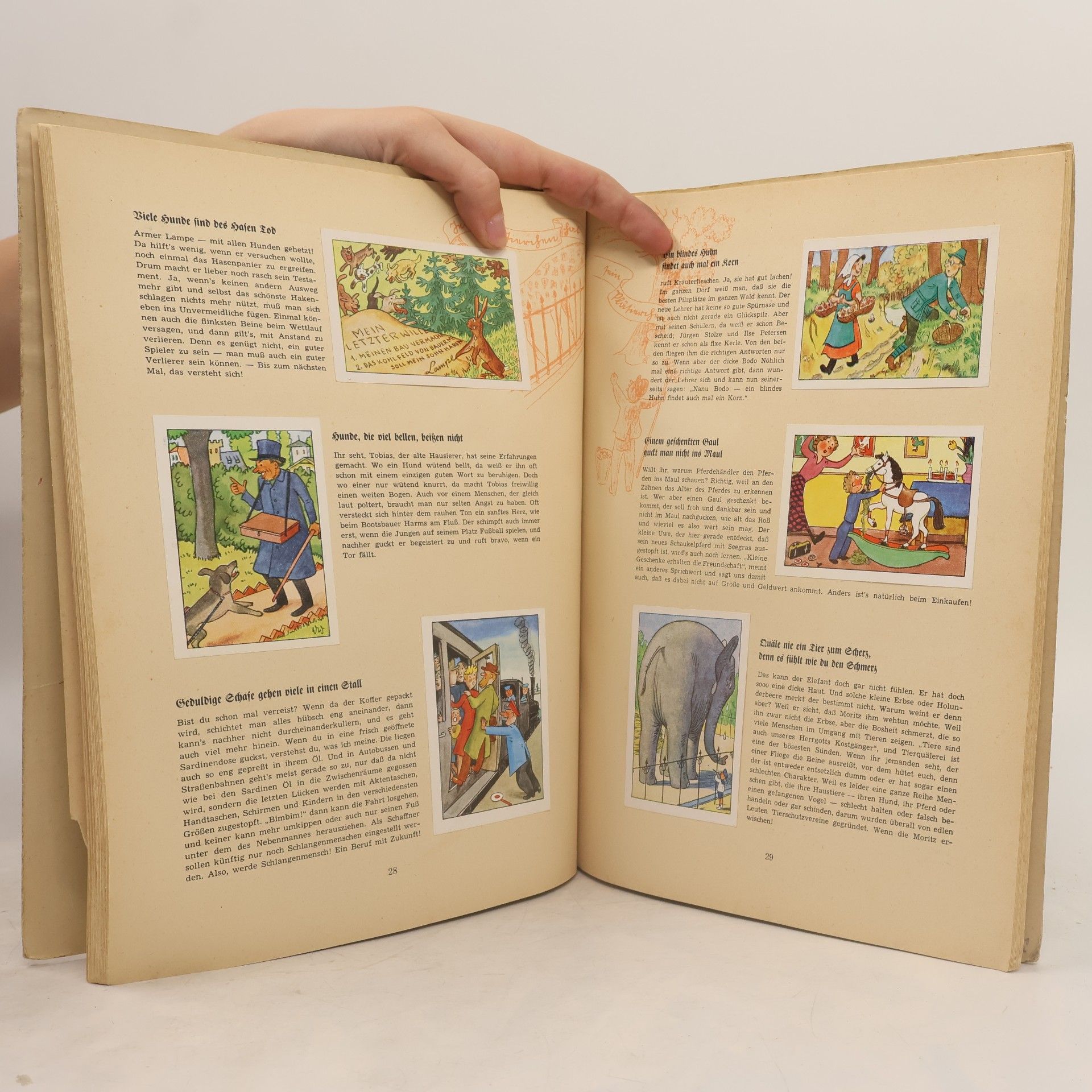 kolektiv Wer lacht mit? Lustiges Sprichwörter Buch 3