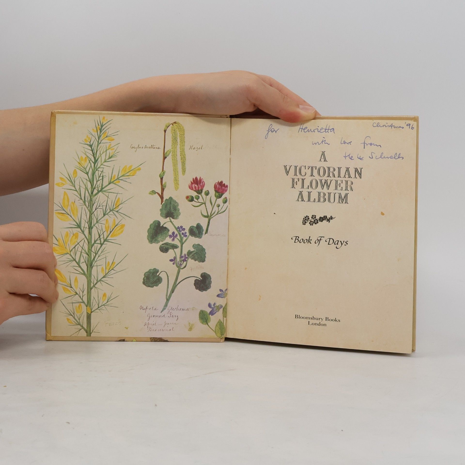 The Godfrey Cave Group A Victorian Flower Album