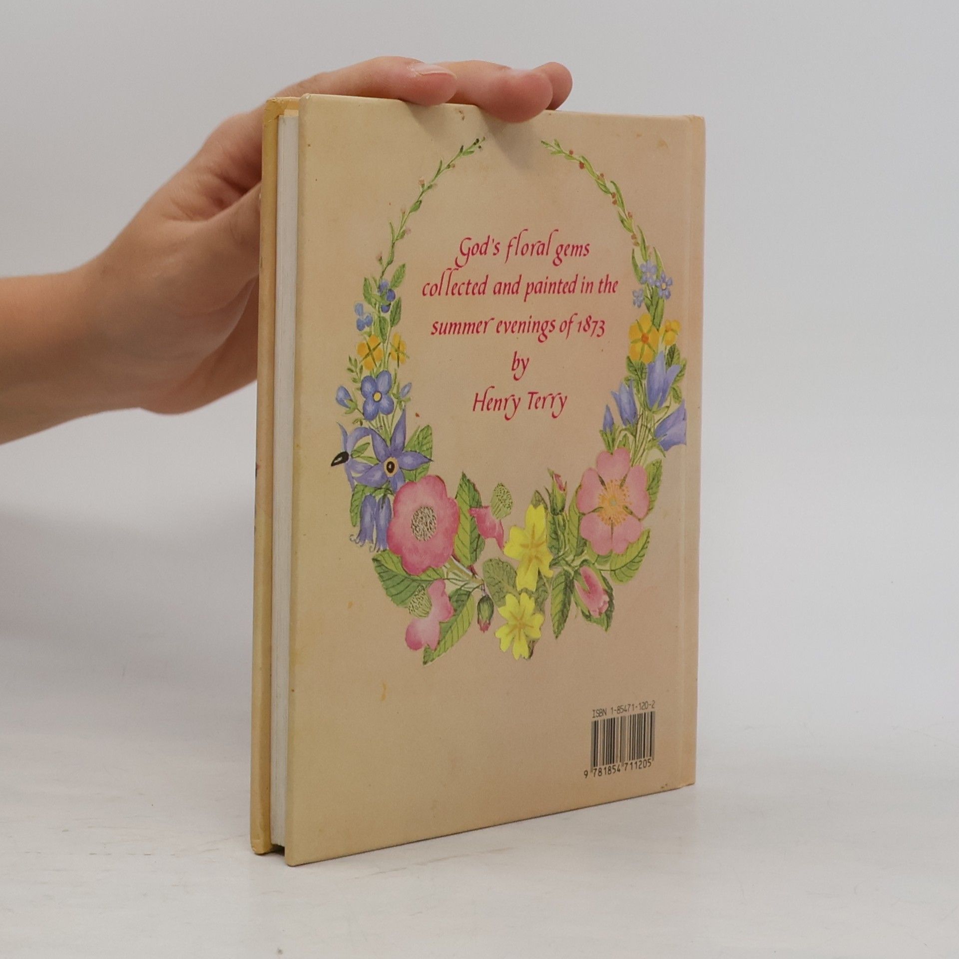 The Godfrey Cave Group A Victorian Flower Album