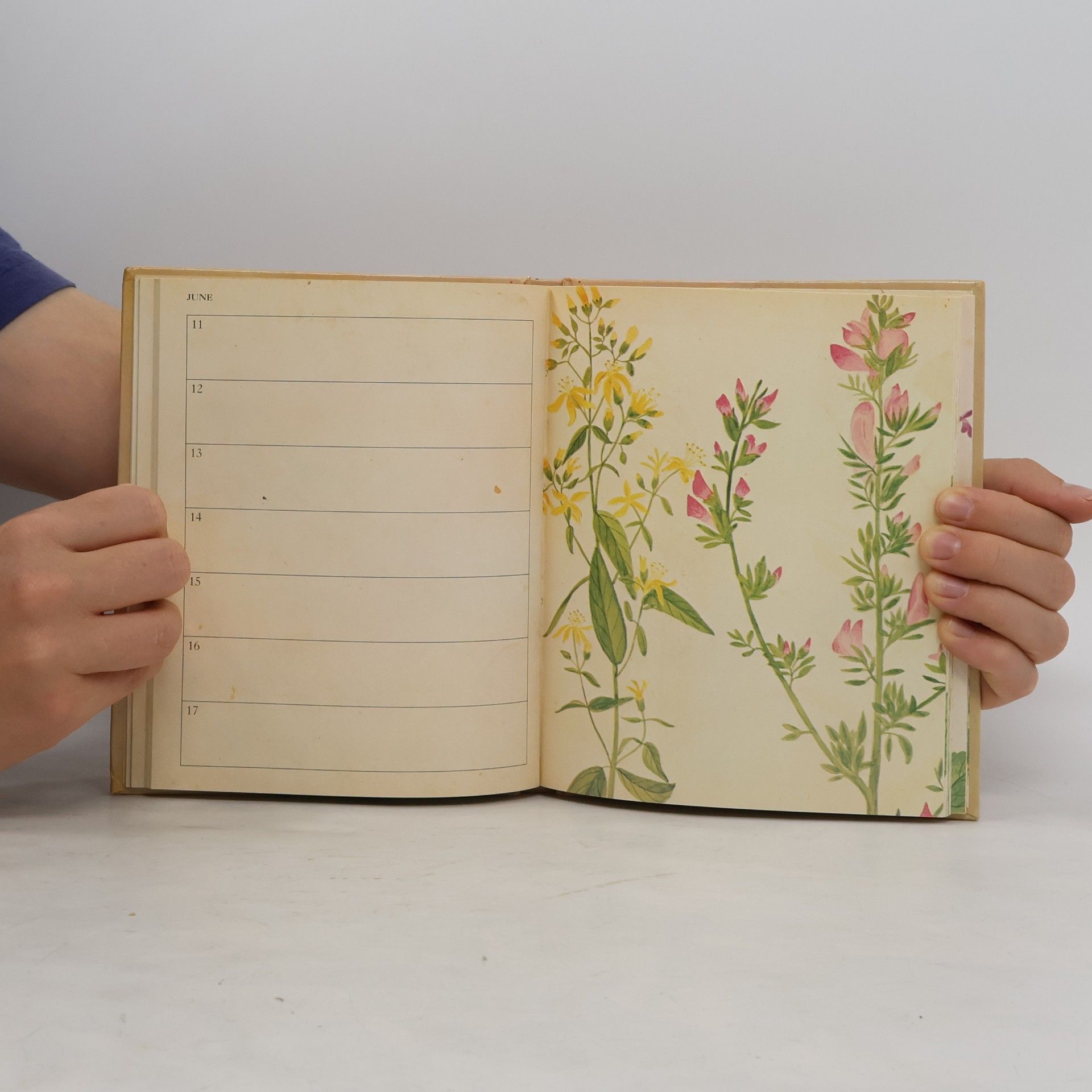 The Godfrey Cave Group A Victorian Flower Album