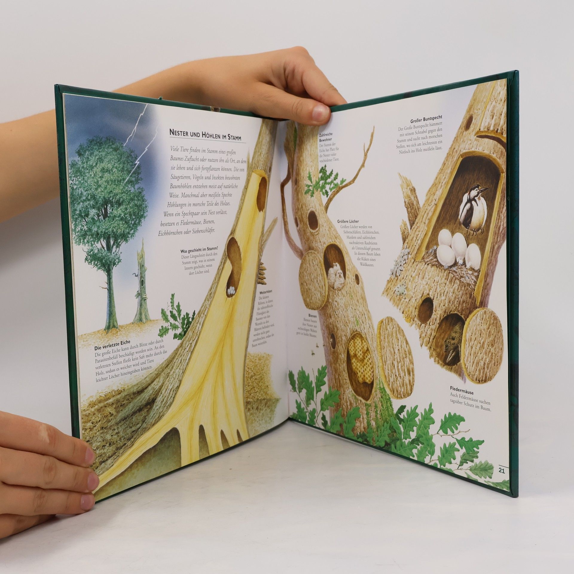 Various authors Der Baum und seine Freunde