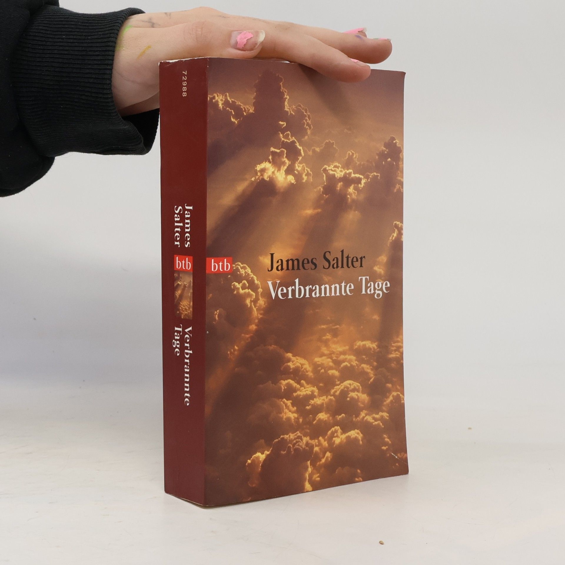 James Salter Verbrannte Tage