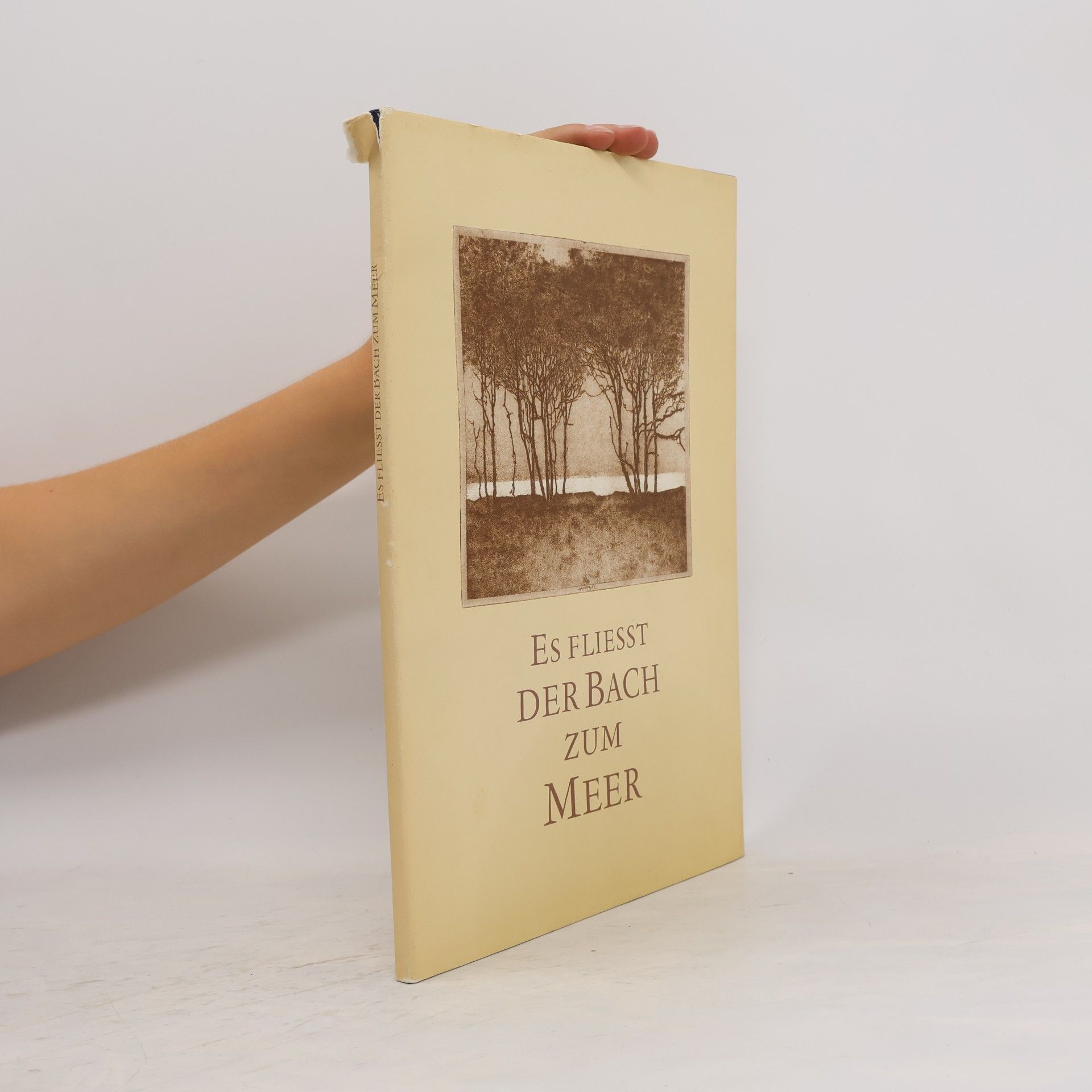 Walter Herzog Es fliesst der Bach zum Meer