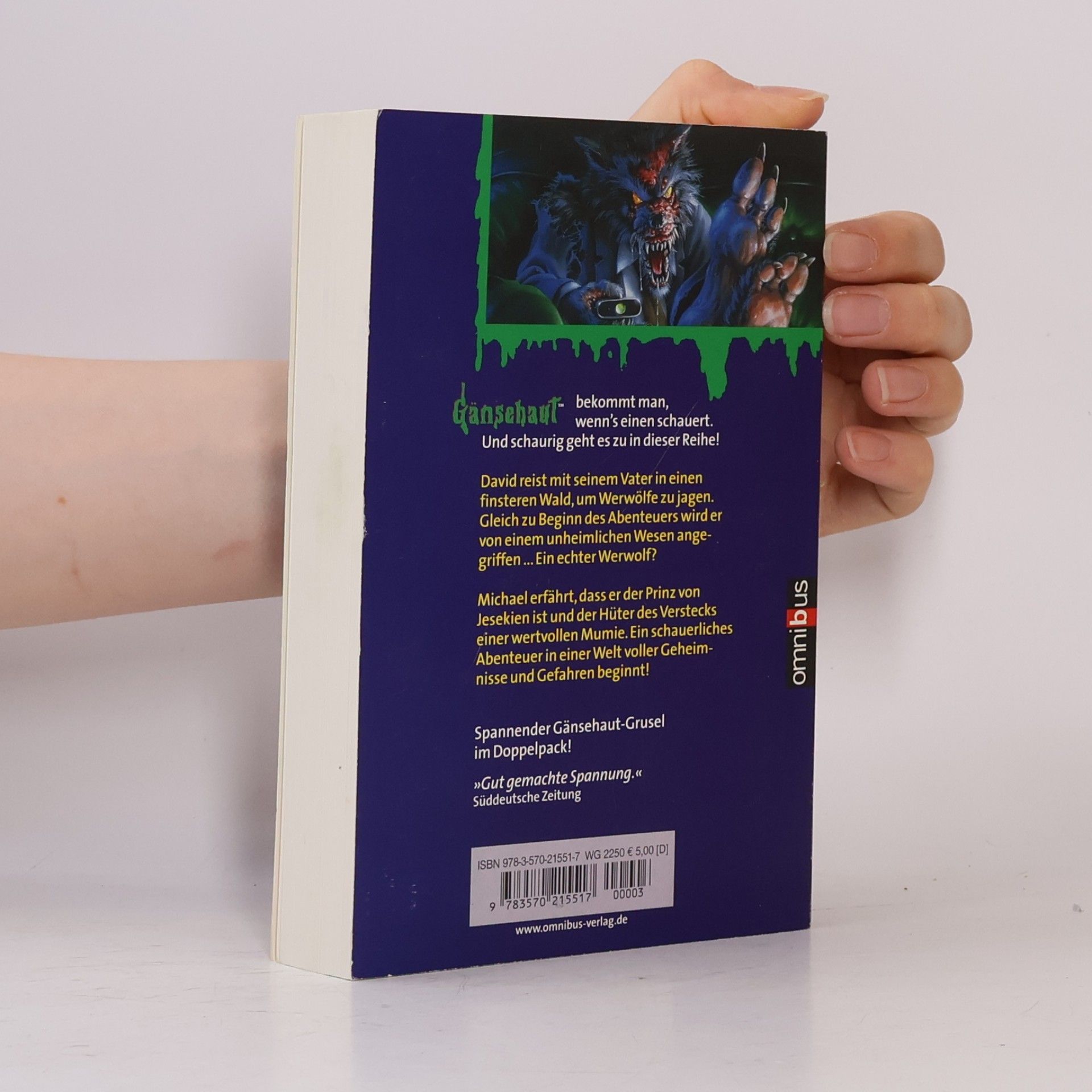 R. L. Stine Gänsehaut - Doppelschocker 24. Ab 10