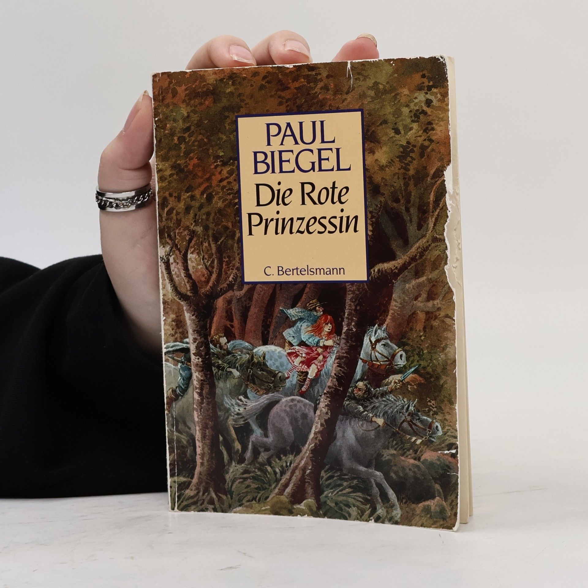 Paul Biegel Die rote Prinzessin