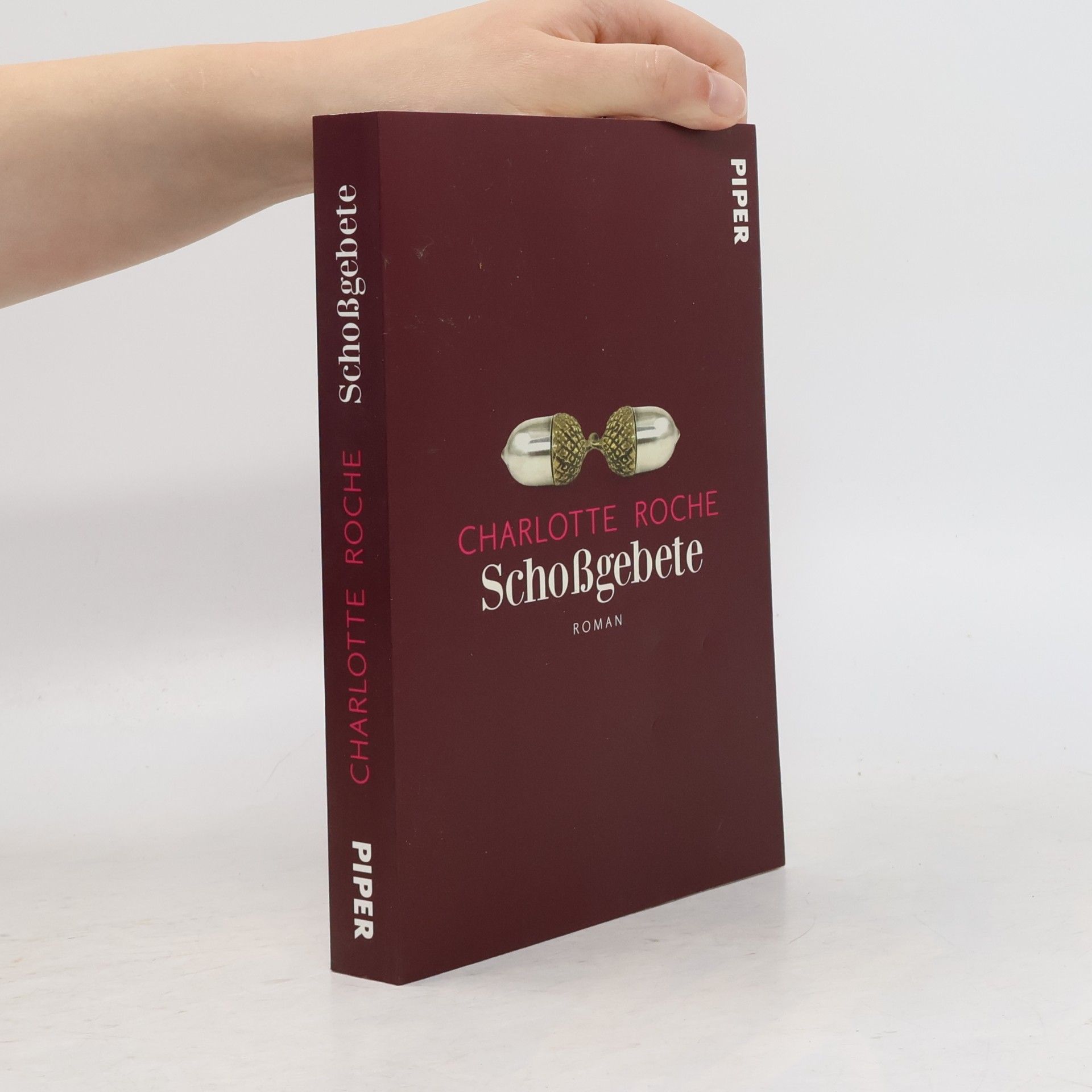Charlotte Roche Schoßgebete