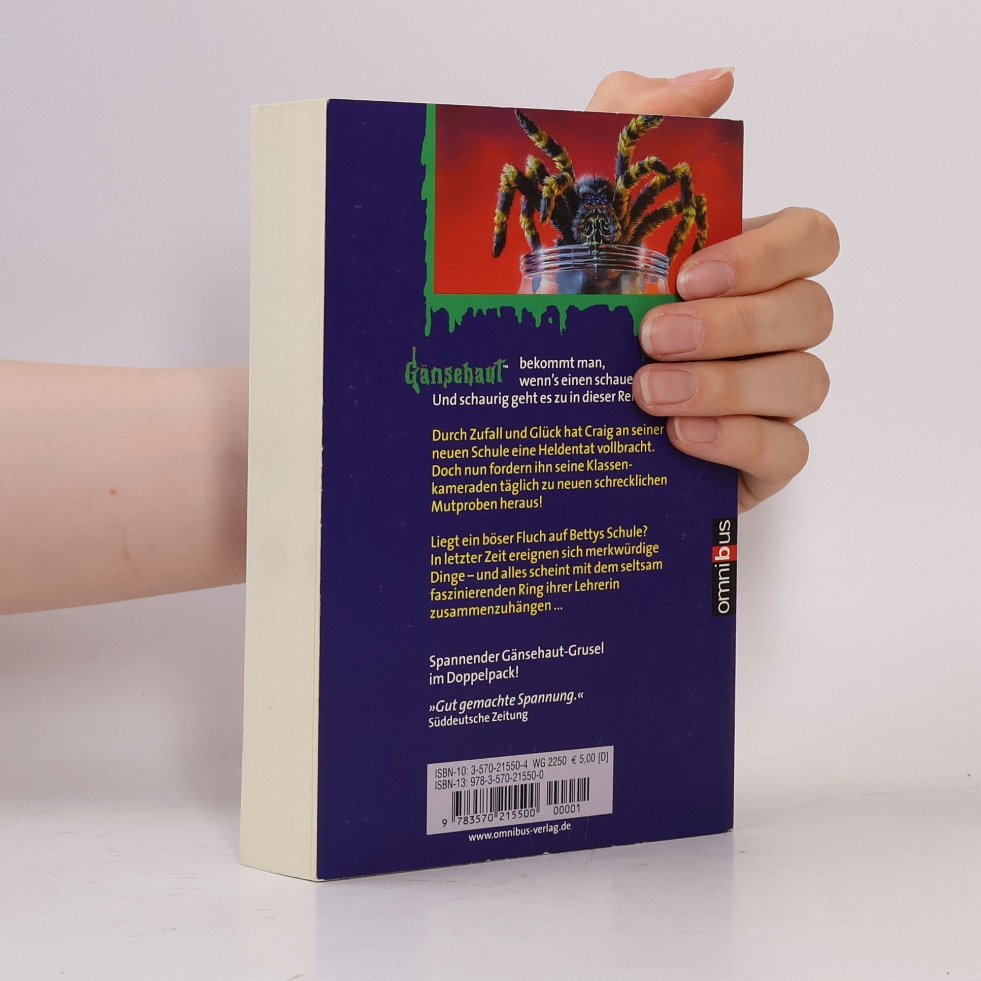 R. L. Stine Gänsehaut - Doppelschocker 23. Ab 10