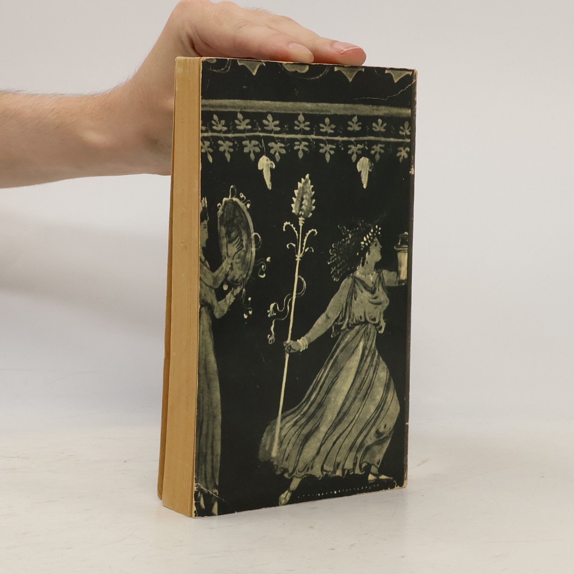 Apuleius Der goldene Esel