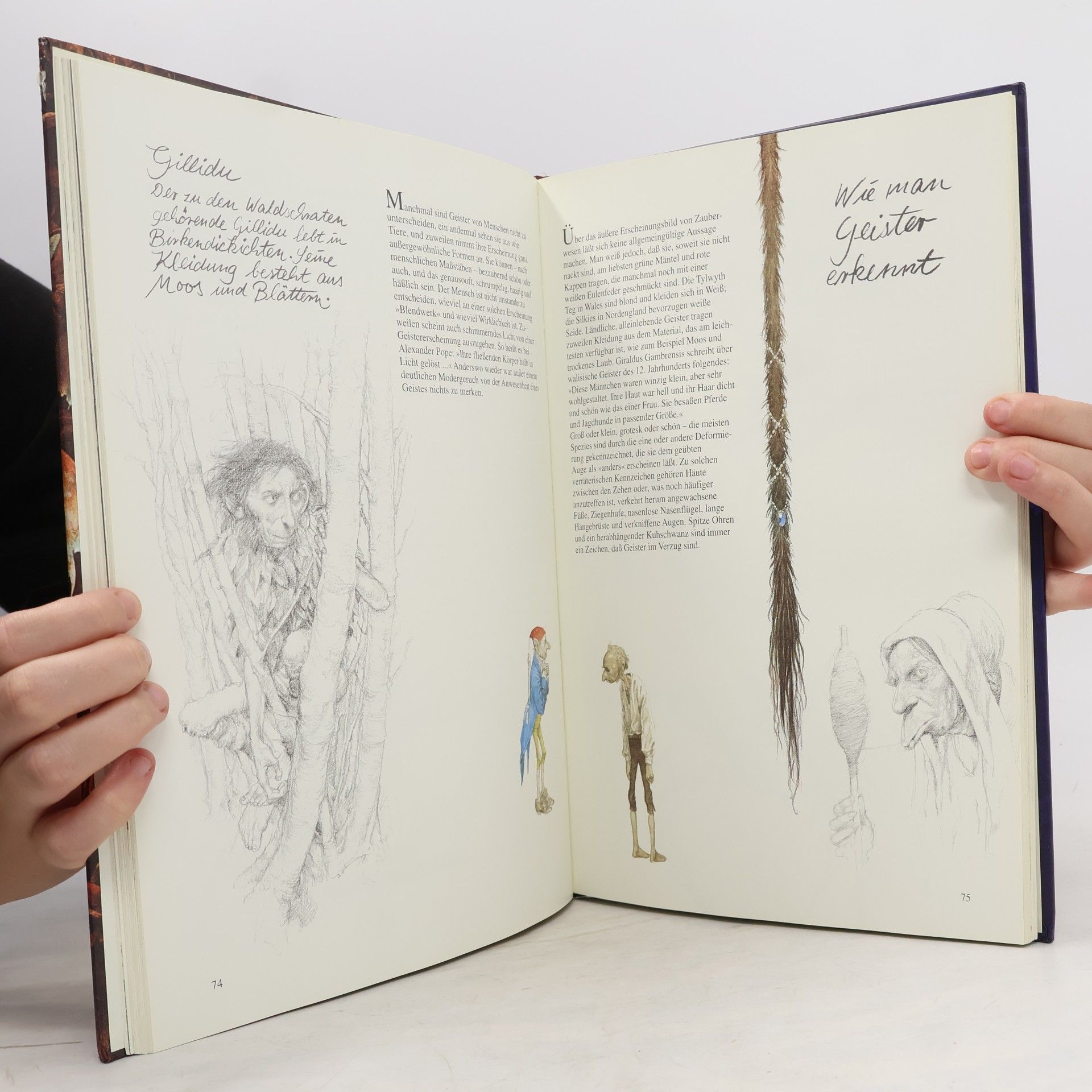 Brian Froud Elfen, Gobelins und Spukgestalten