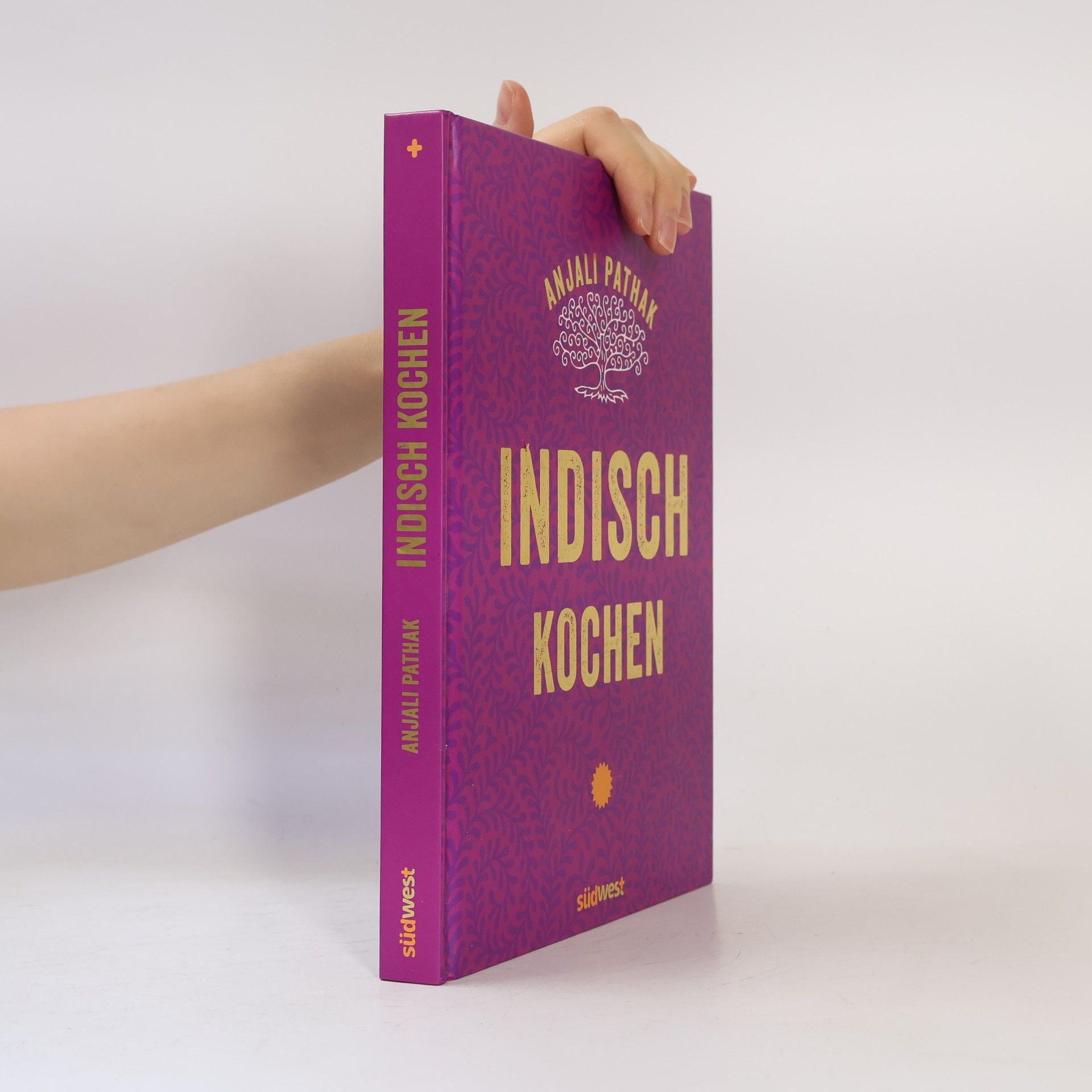 Anjali Pathak Indisch kochen