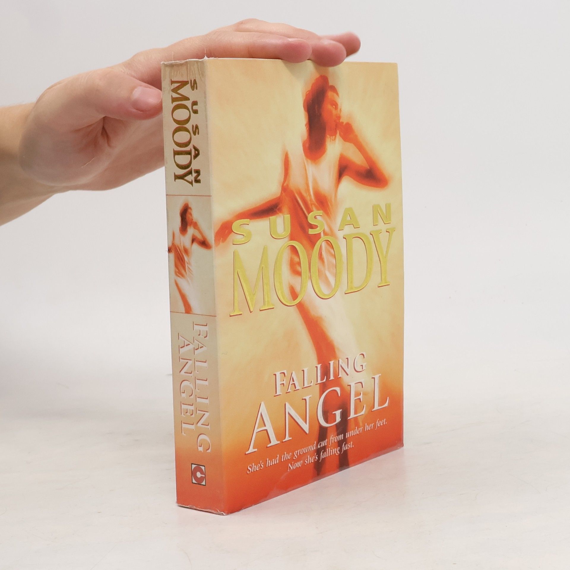 Susan Moody Falling Angel