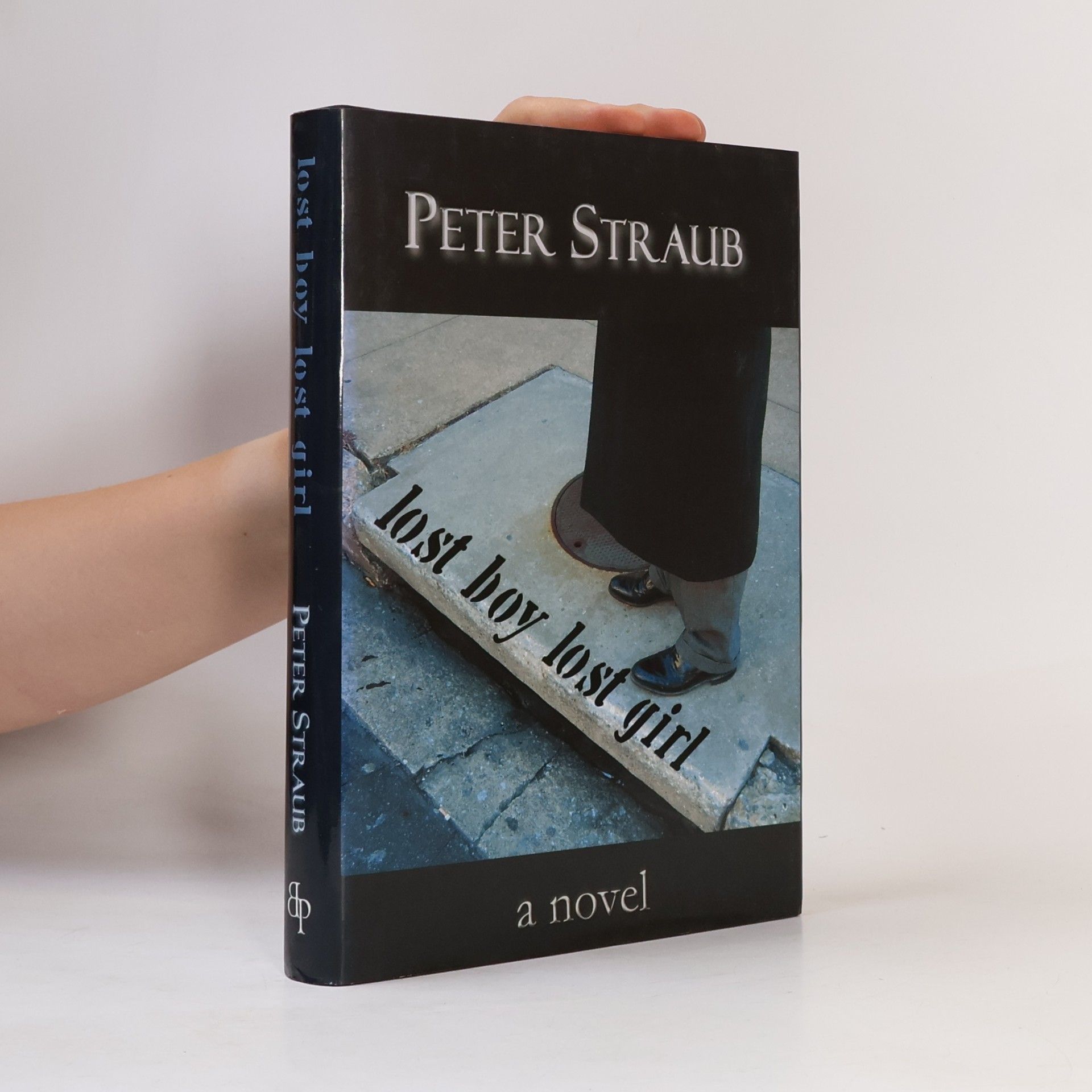 Peter Straub LOST BOY LOST GIRL