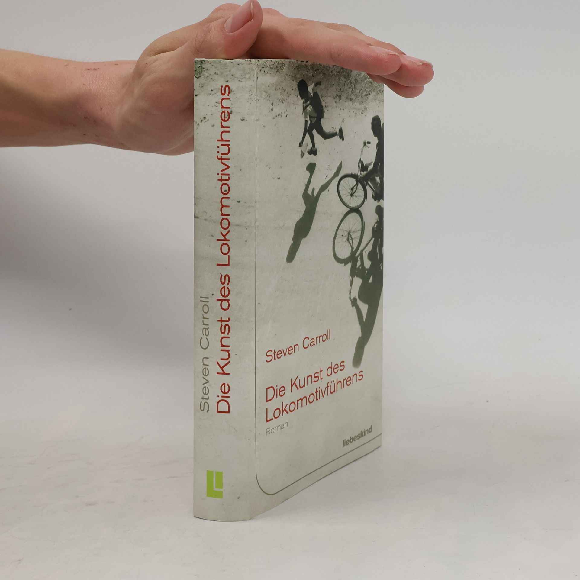 Steven Carroll Die Kunst des Lokomotivführens