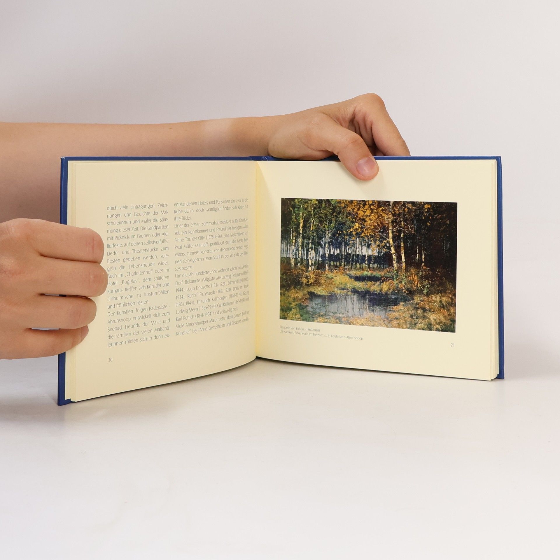 Ingrid Schreyer Ahrenshooper Art