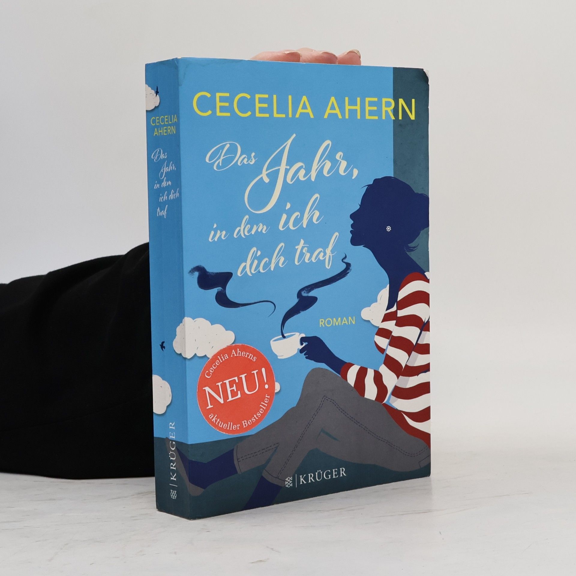 Cecelia Ahern Das Jahr, in dem ich dich traf