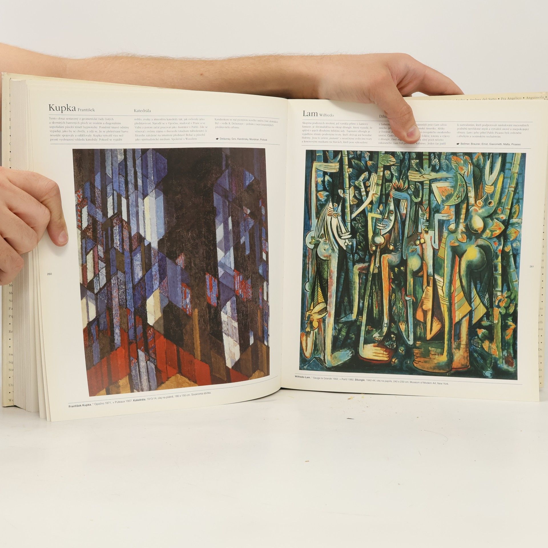 Tomáš Dalibor The Art book : Encyklopedie výtvarného umění