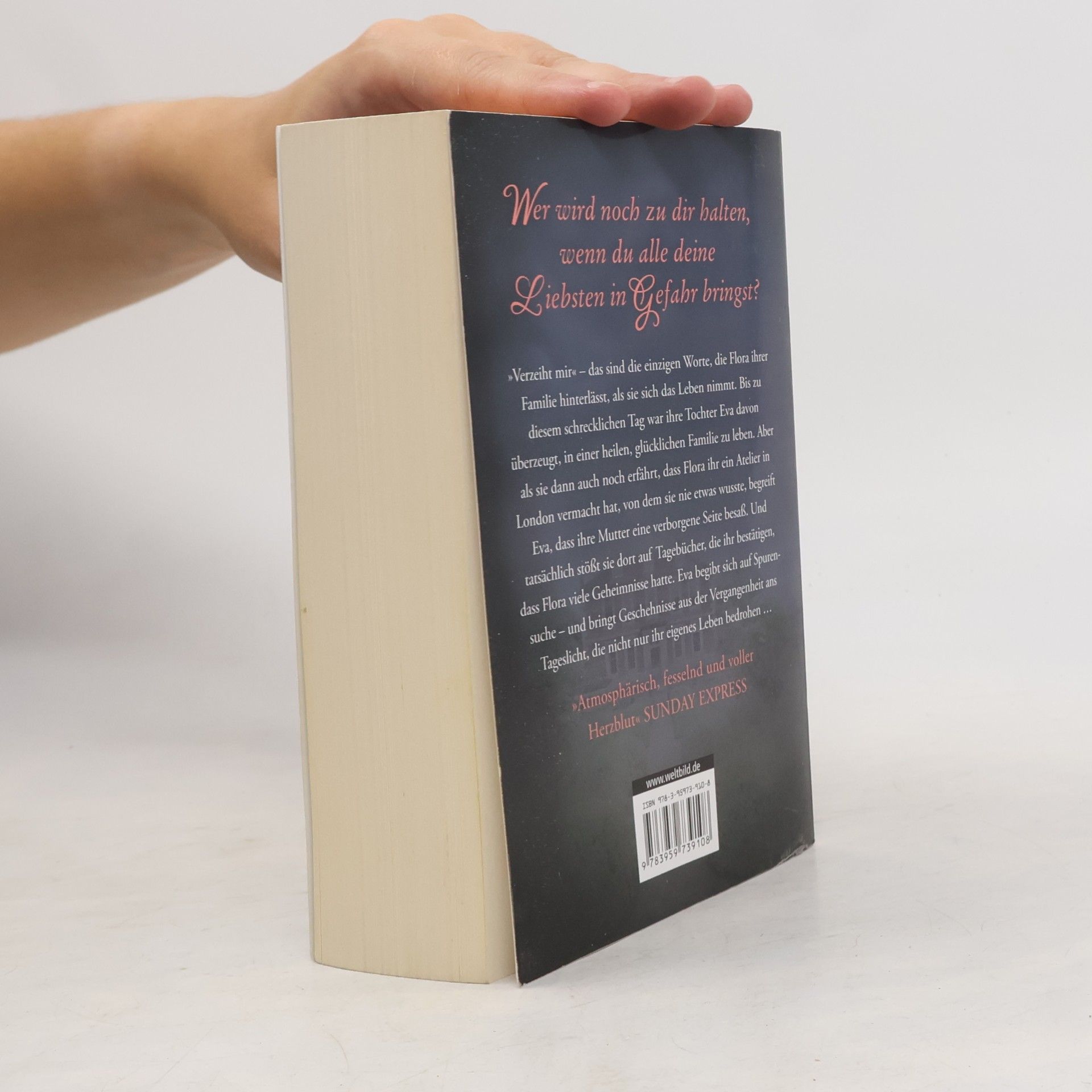 Lesley Pearse Das Geheimnis von Carlisle