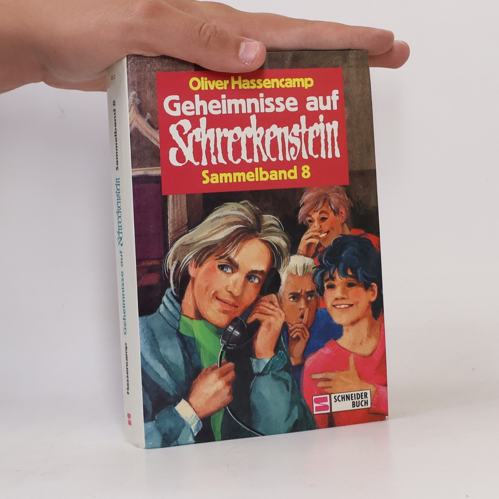 Oliver Hassencamp Geheimnisse auf Schreckenstein. Das Phantom von Schreckenstein; Geheimcode Schreckenstein; Der bunte Hund von Schreckenstein