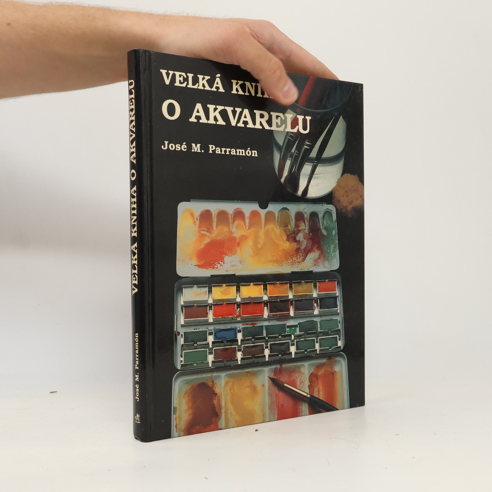 Magdalena Pechová Velká kniha o akvarelu