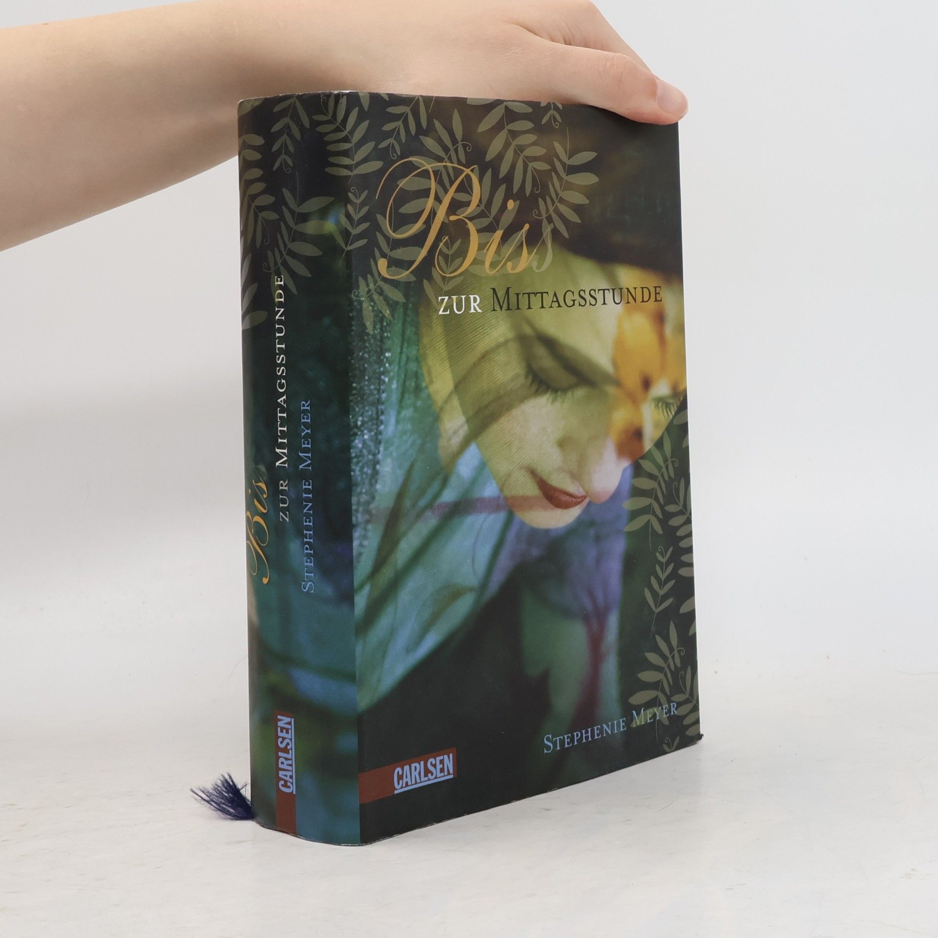 Stephenie Meyer Biss zur Mittagsstunde