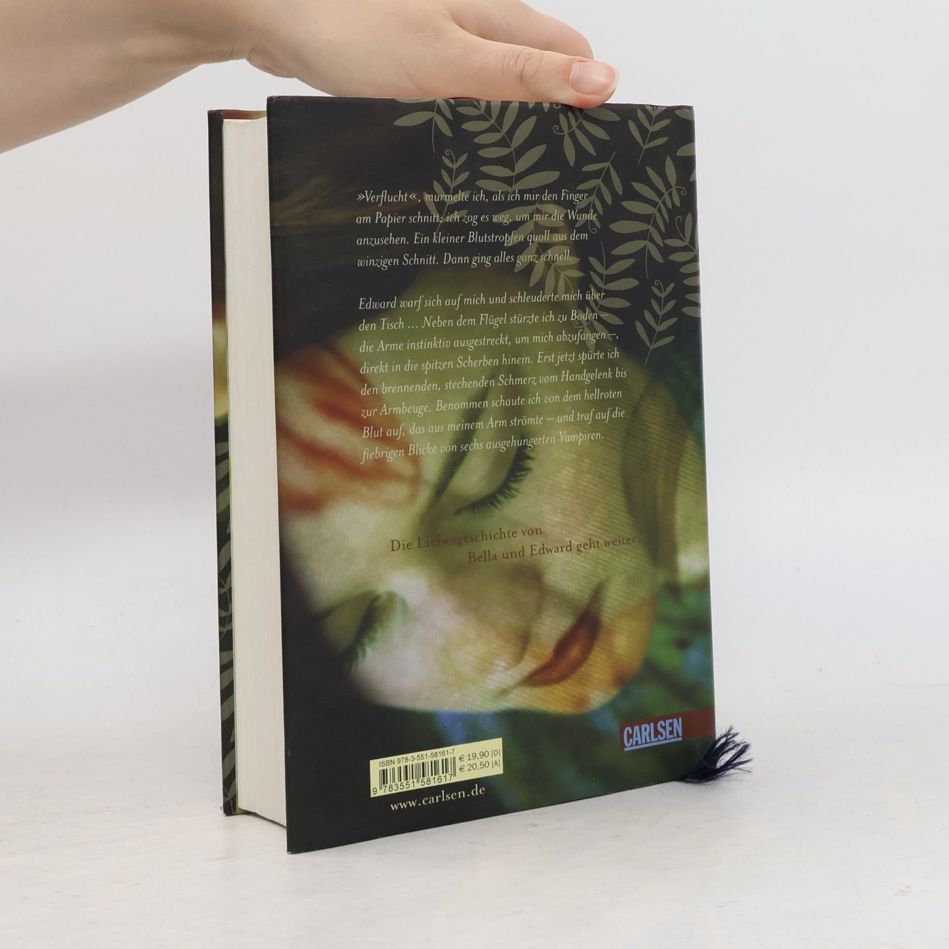 Stephenie Meyer Biss zur Mittagsstunde