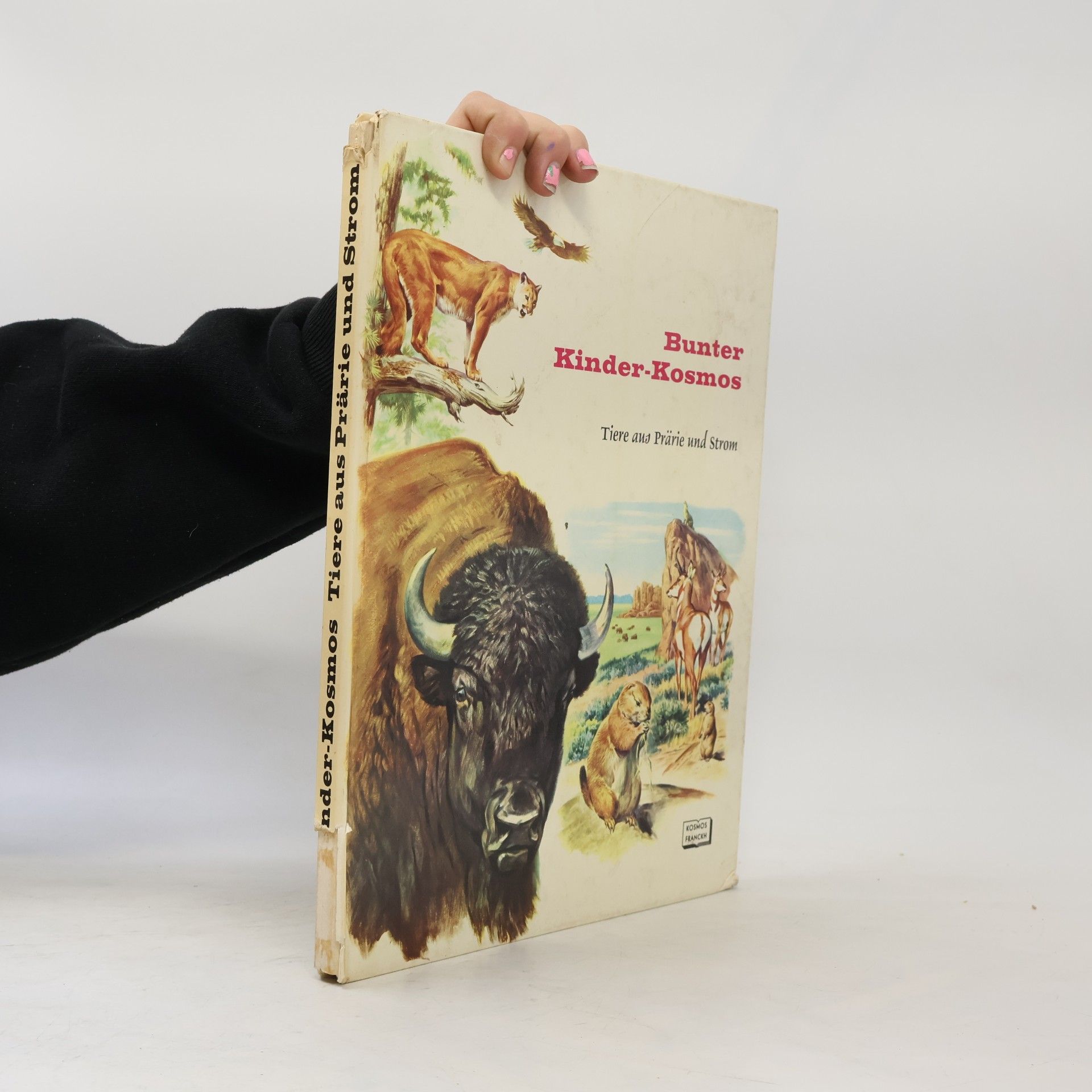 Bunter Kinder-Kosmos. Tiere aus Prärie und Strom