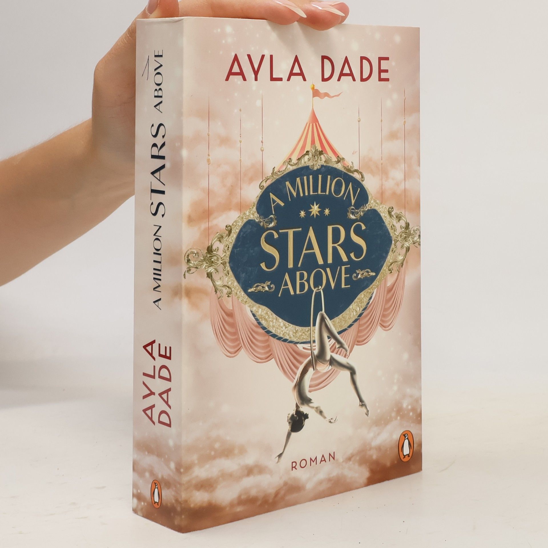 Ayla Dade A Million Stars Above / Sky Circus Bd.1