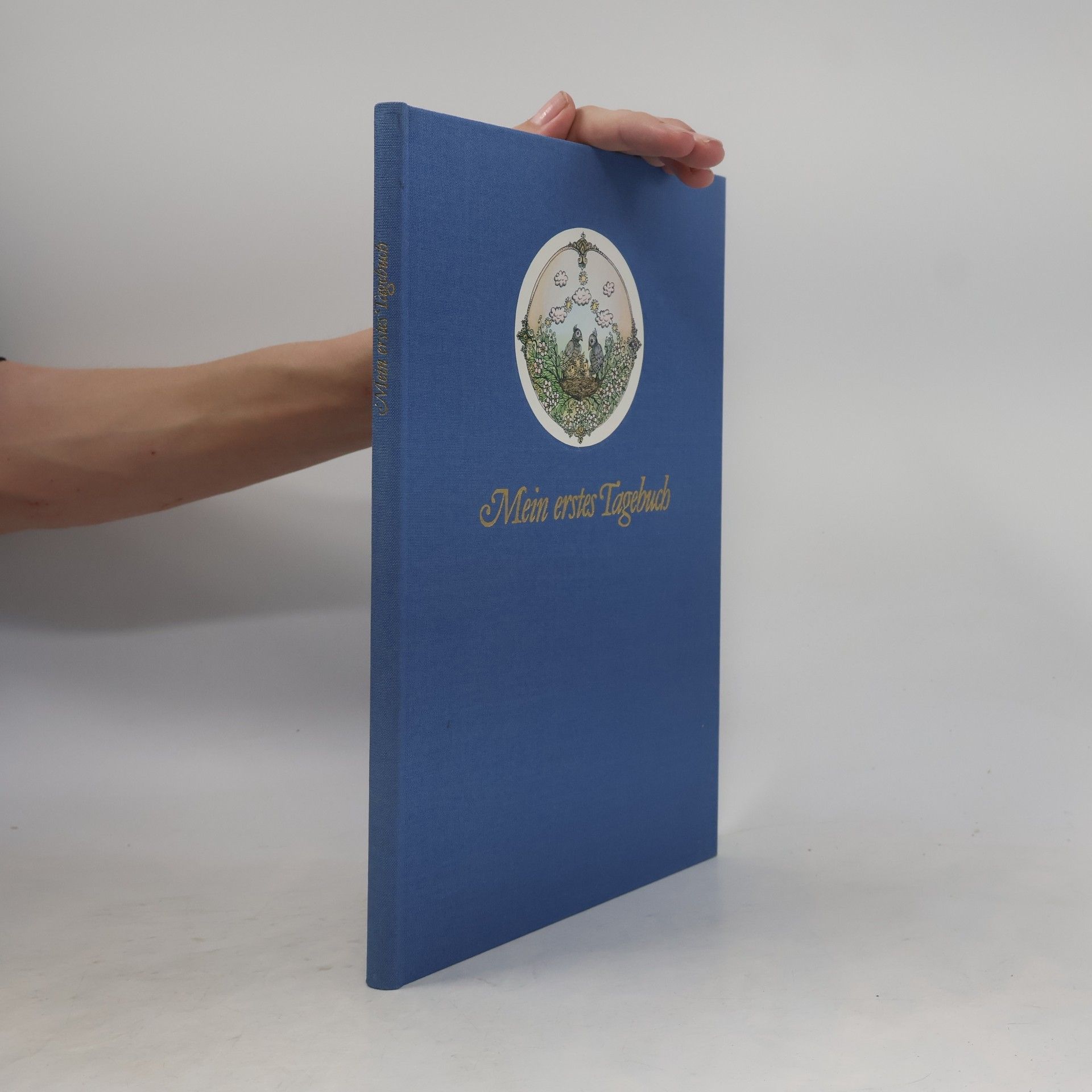 Schmid, Regula Mein erstes Tagebuch