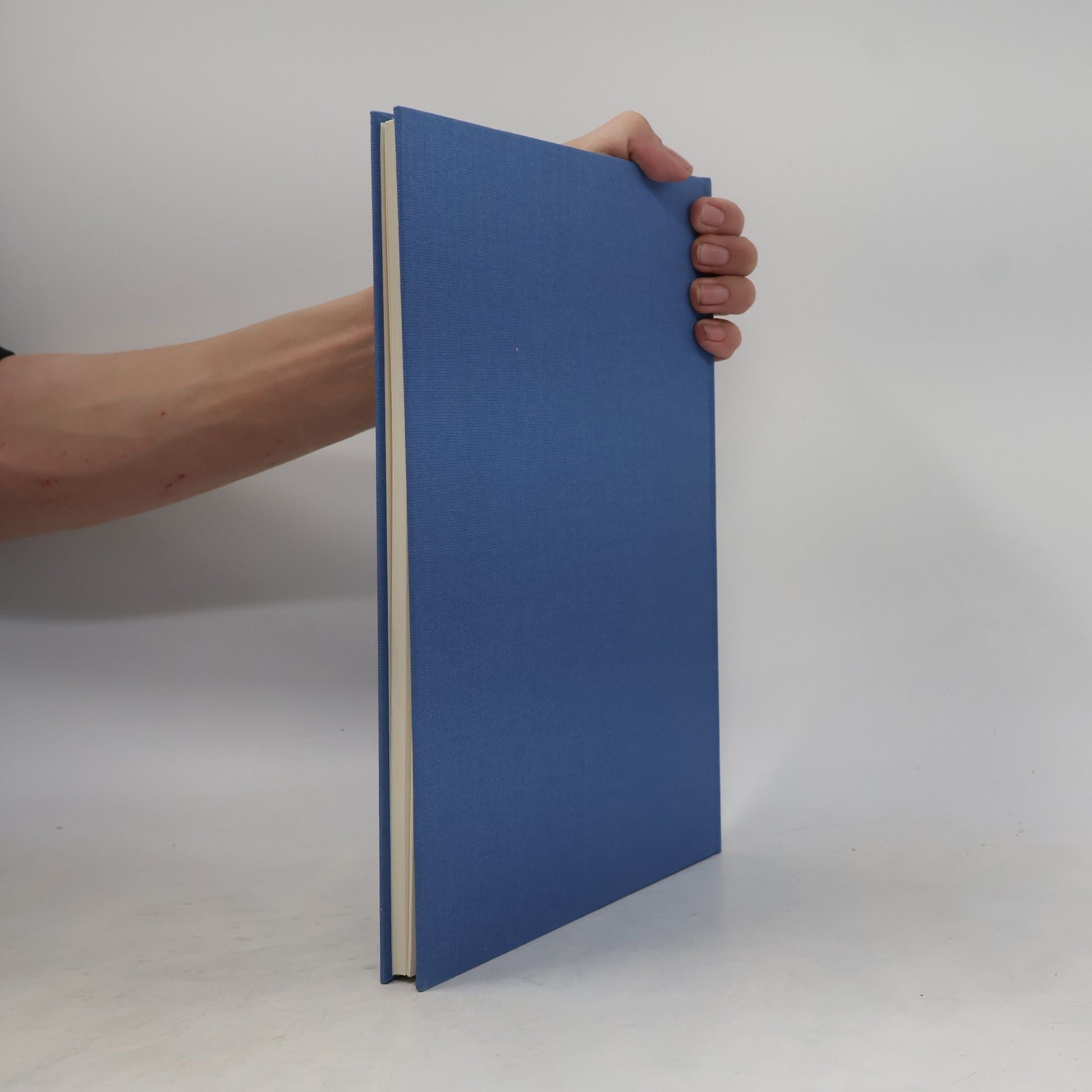Schmid, Regula Mein erstes Tagebuch