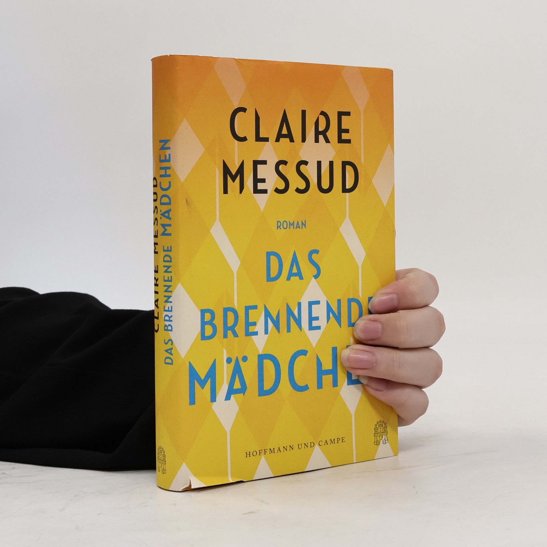 Claire Messud Das brennende Mädchen